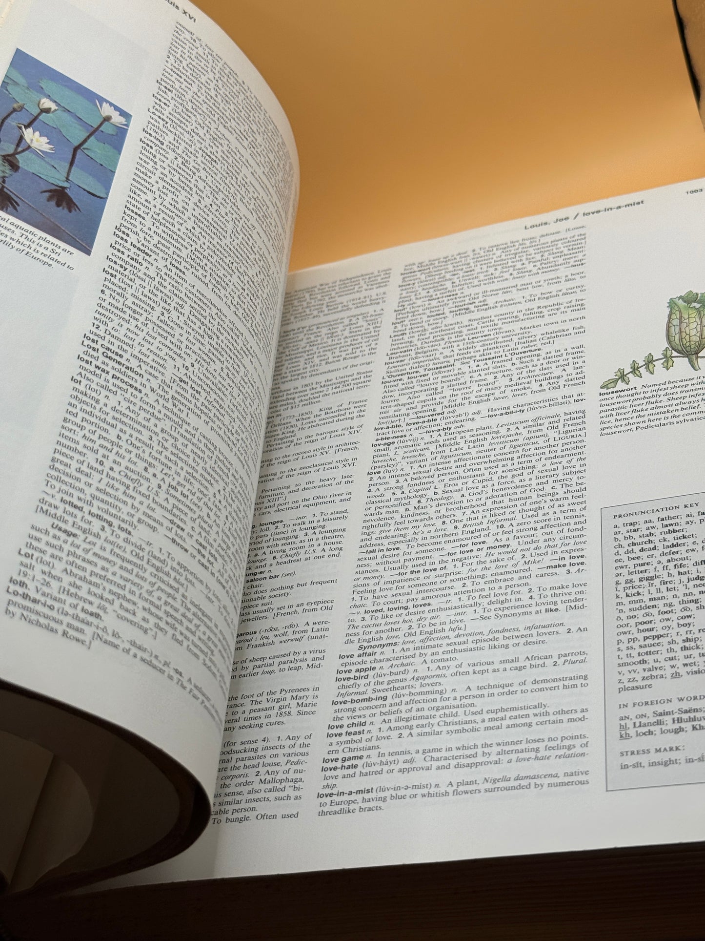 Reader's Digest Great Illustrated Dictionary Vol 2 L-Z 1984