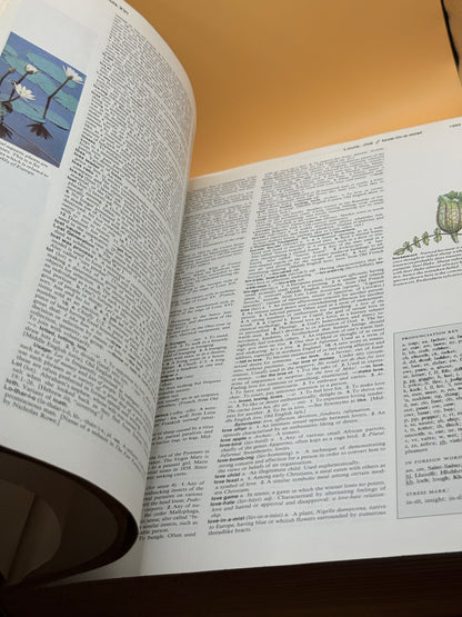 Reader's Digest Great Illustrated Dictionary Vol 2 L-Z 1984