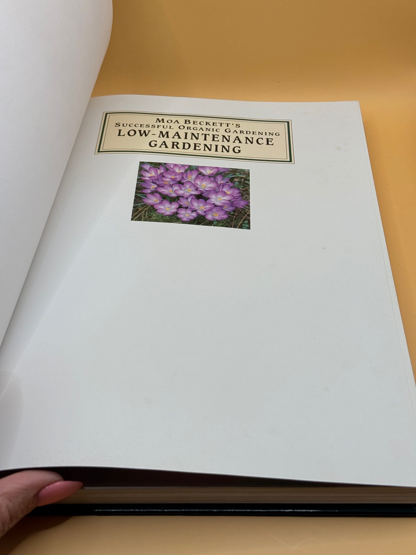 Moa Beckett's Successful Organic Gardening: Low-Maintenance Gardening