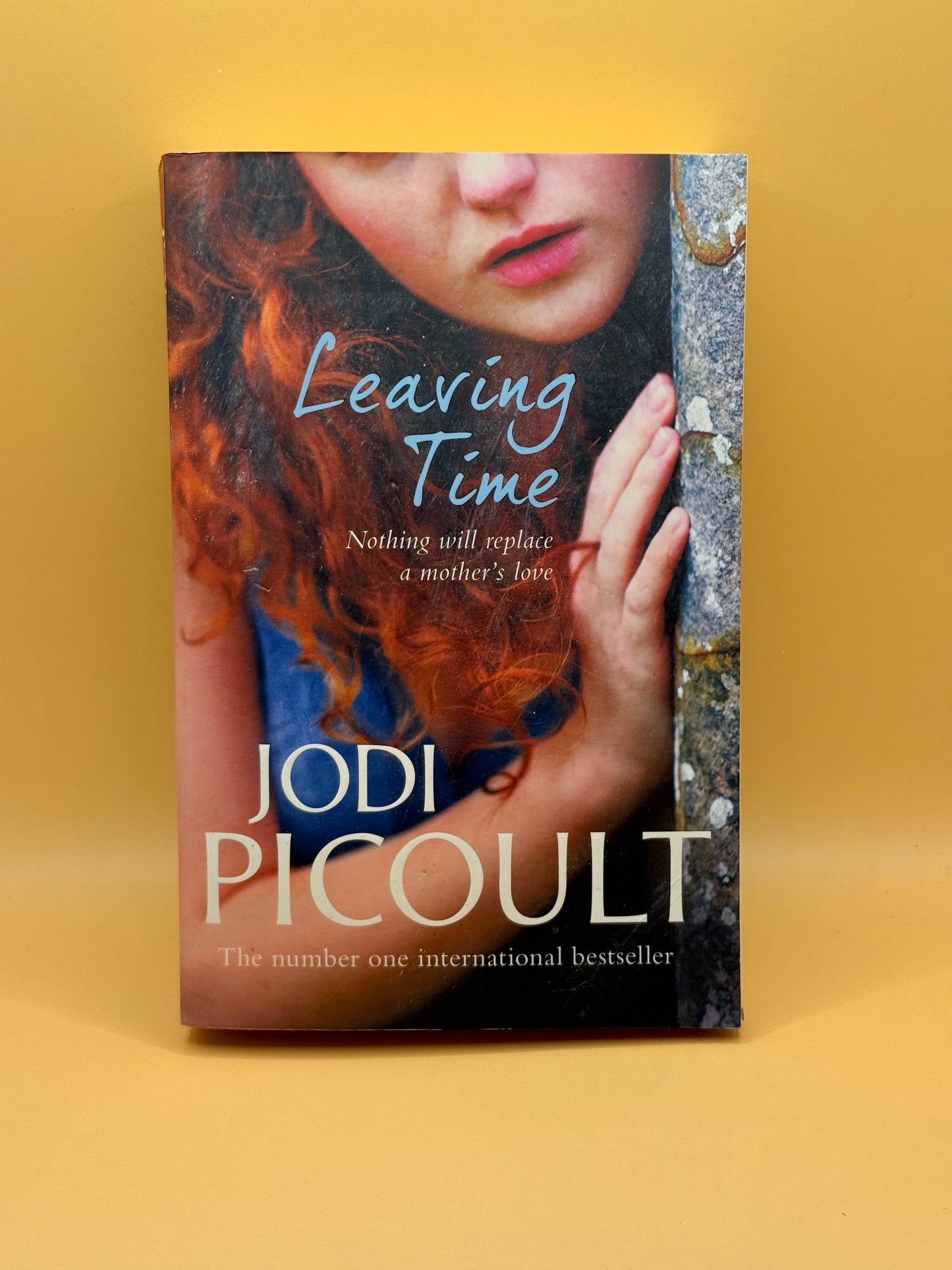 Leaving Time by Jodi Picoult