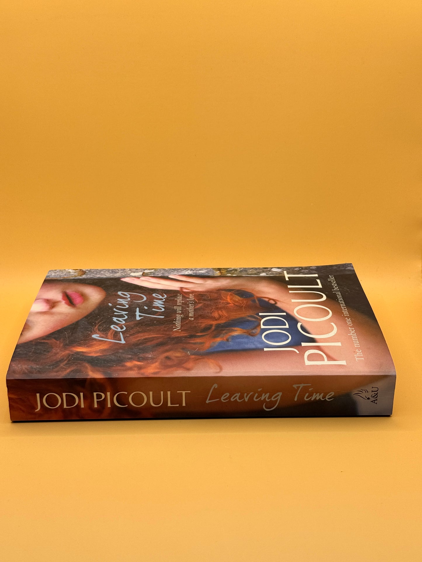 Leaving Time by Jodi Picoult
