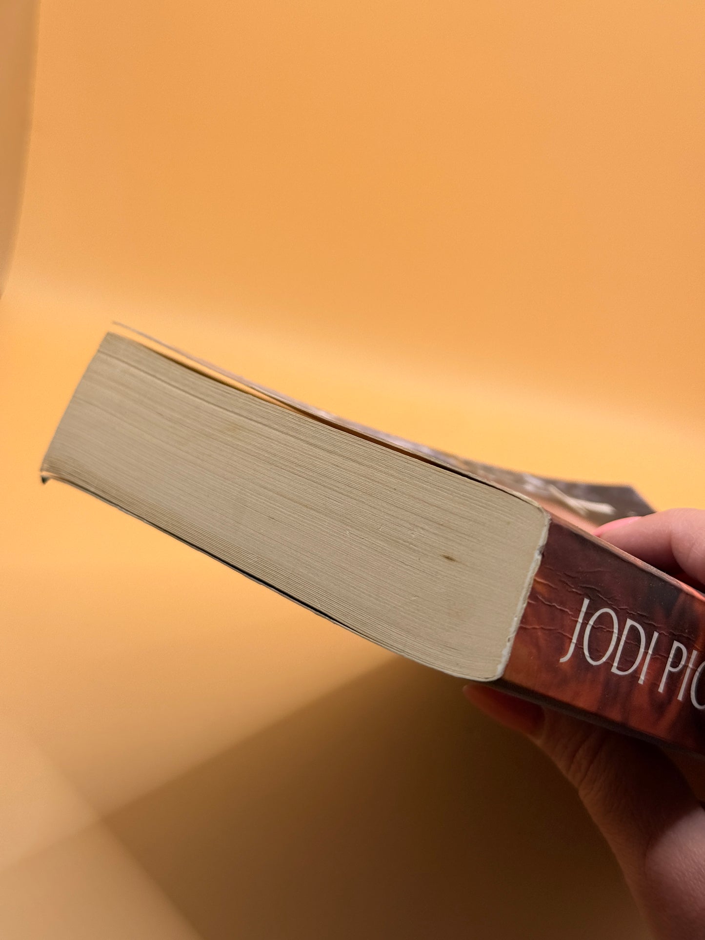 Leaving Time by Jodi Picoult