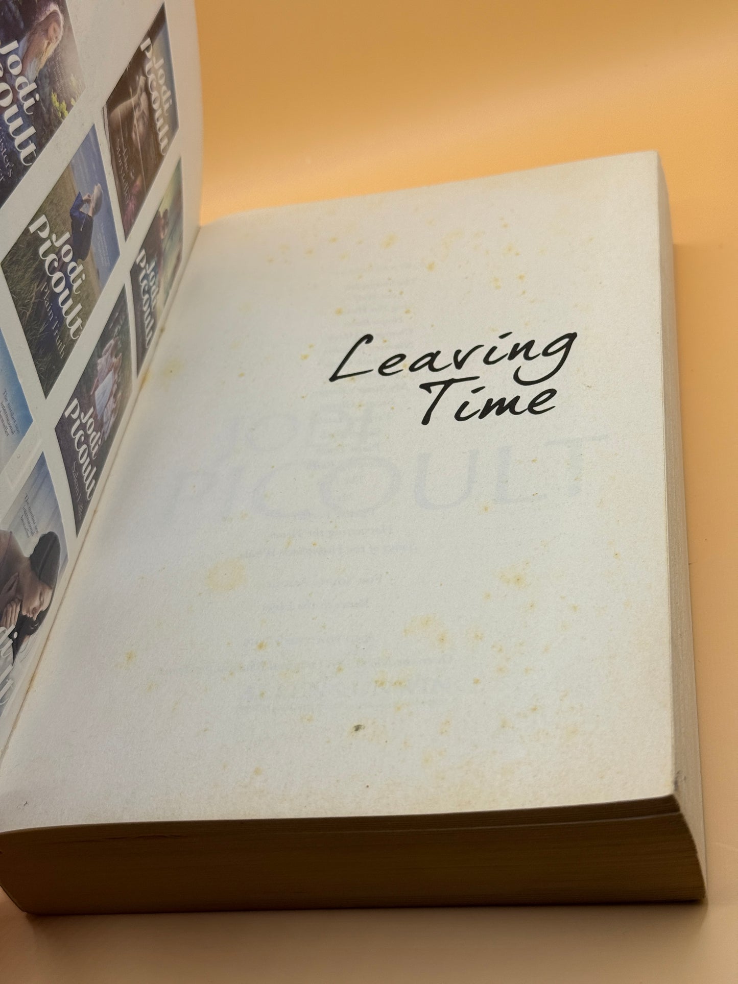 Leaving Time by Jodi Picoult