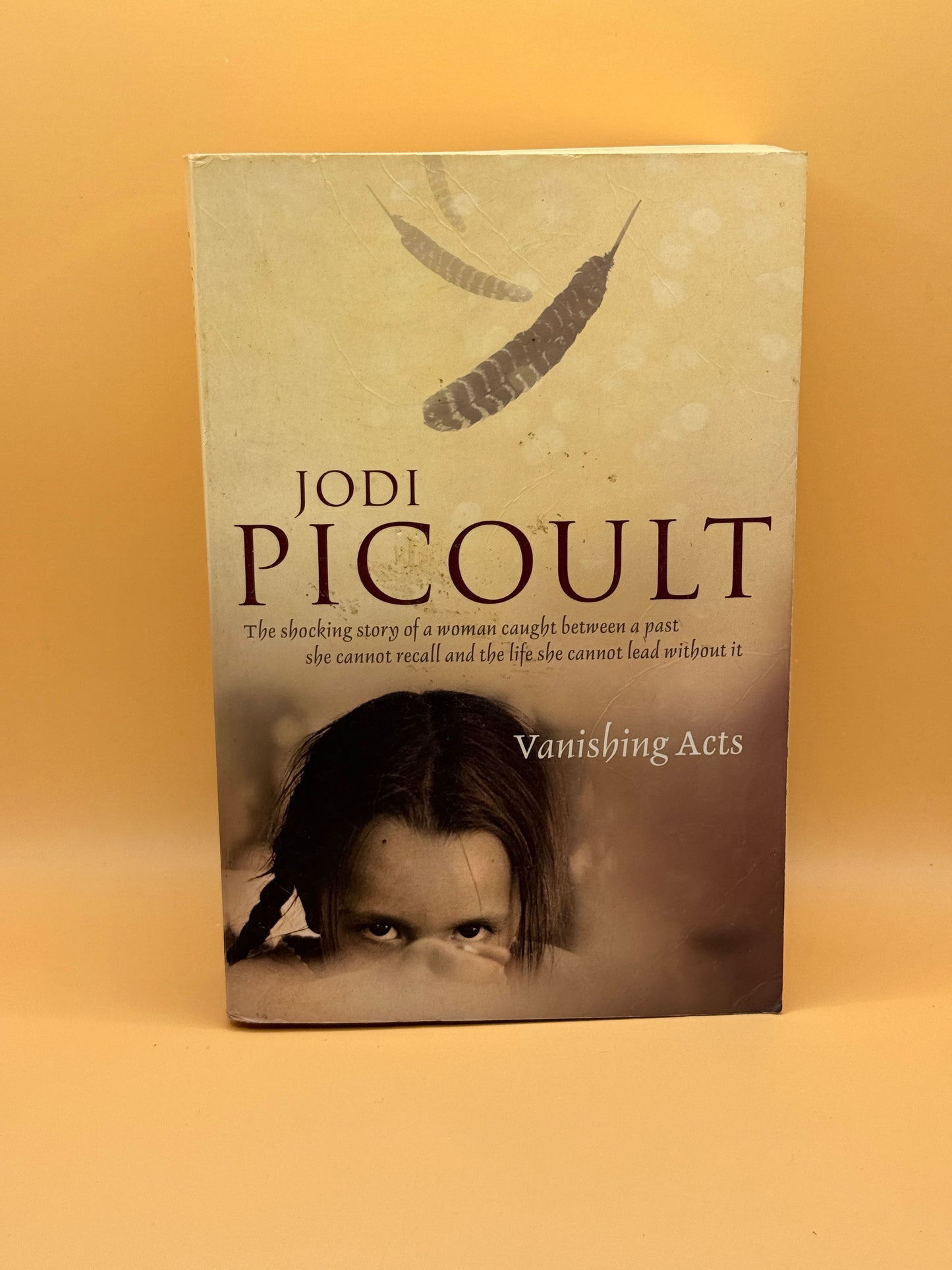 Vanishing Acts by Jodi Picoult