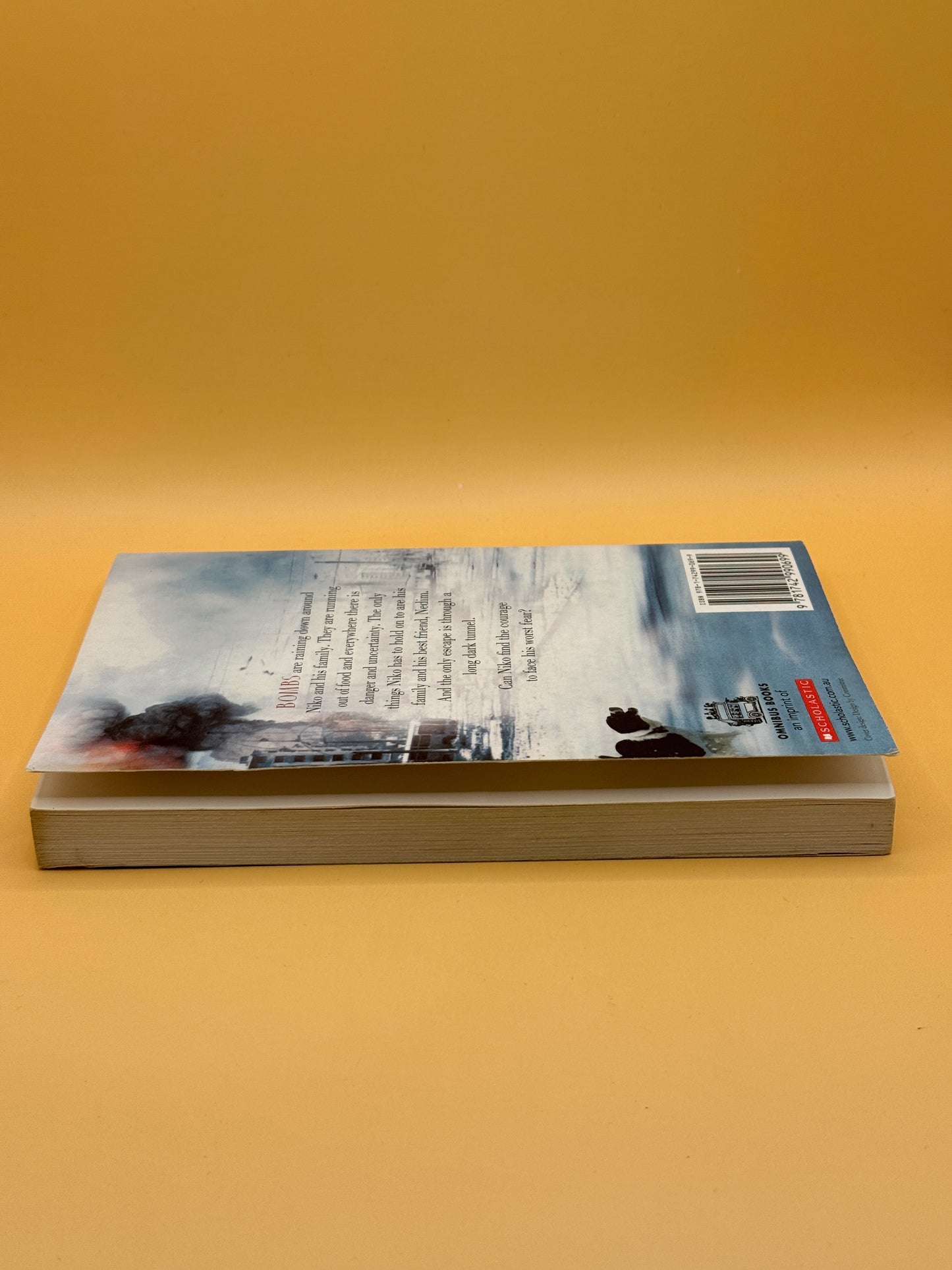 Paper Planes by Allayne L. Webster