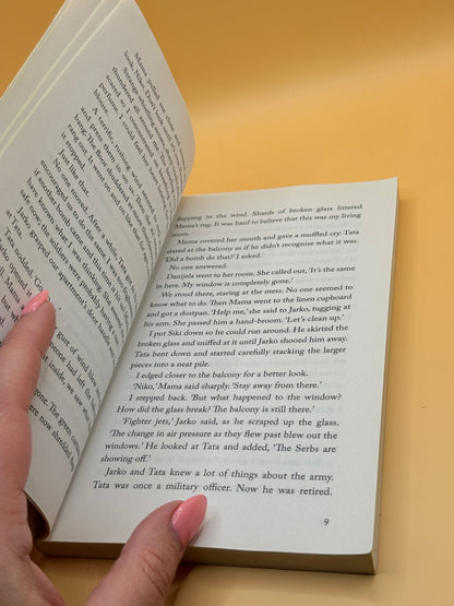 Paper Planes by Allayne L. Webster
