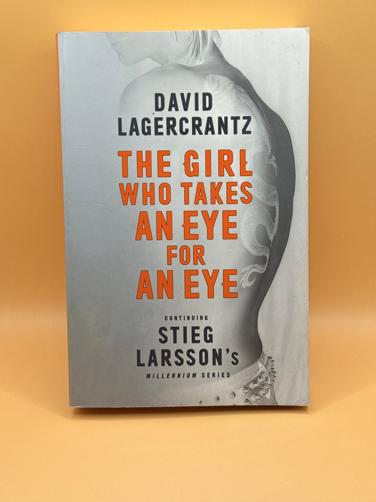 Millennium 5 : The Girl Who Takes an Eye for an Eye by David Lagercrantz