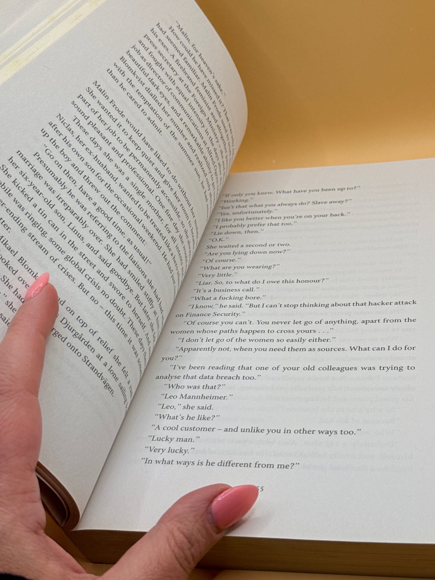 Millennium 5 : The Girl Who Takes an Eye for an Eye by David Lagercrantz
