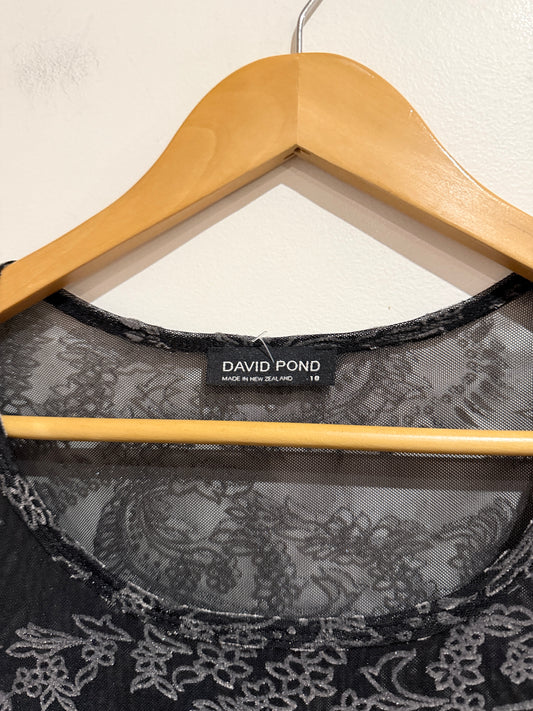 David Pond (NZ Made) Sheer Long-sleeve Top Size 10