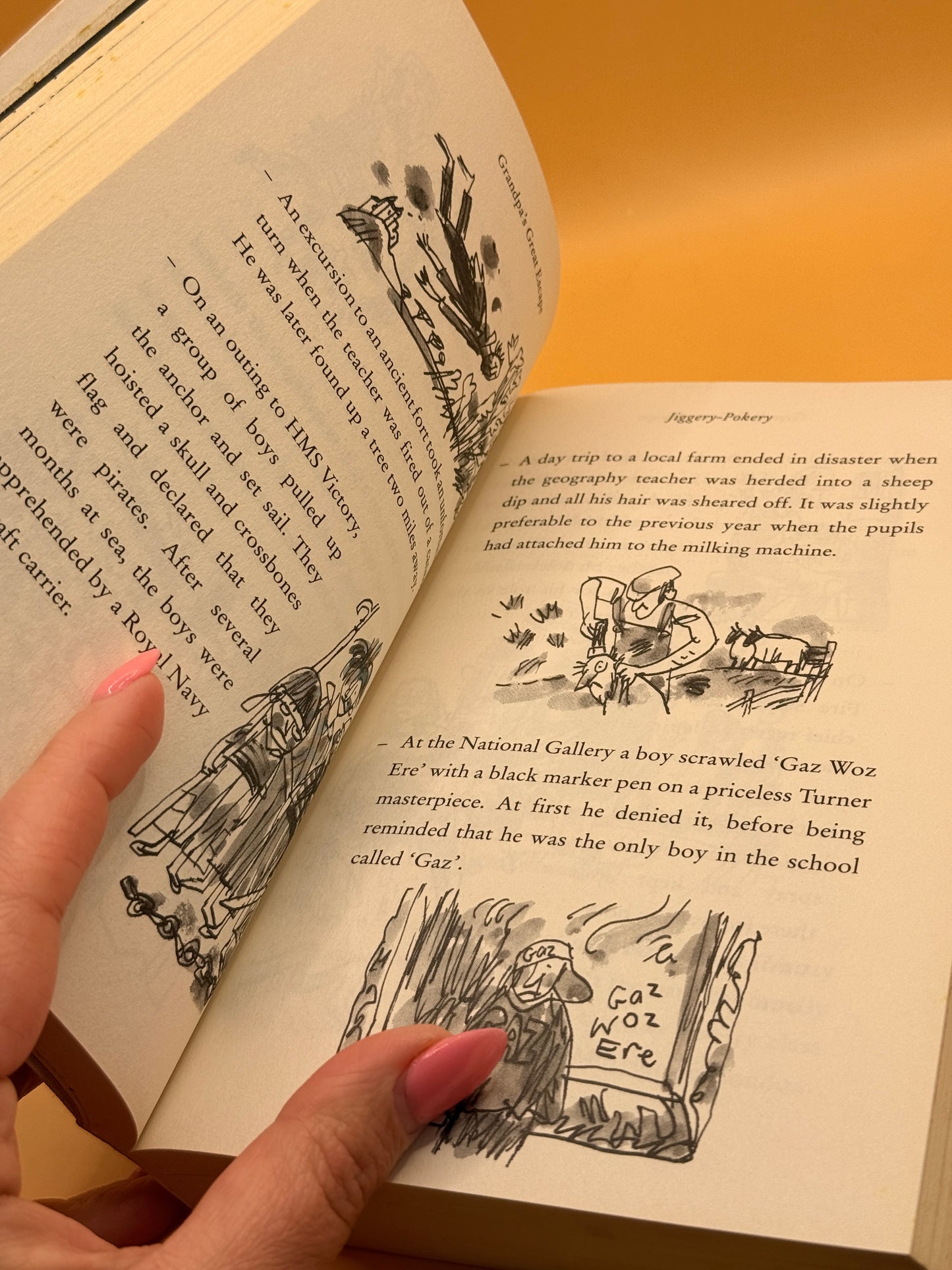 Grandpa's Great Escape by David Walliams