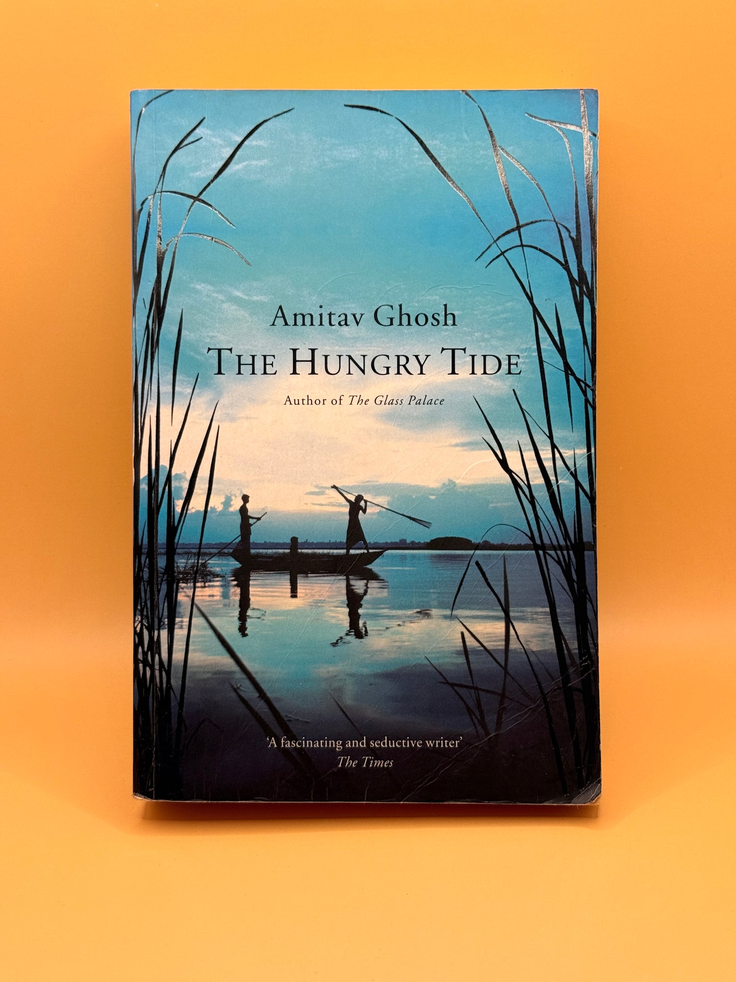 The Hungry Tide by Amitav Ghosh