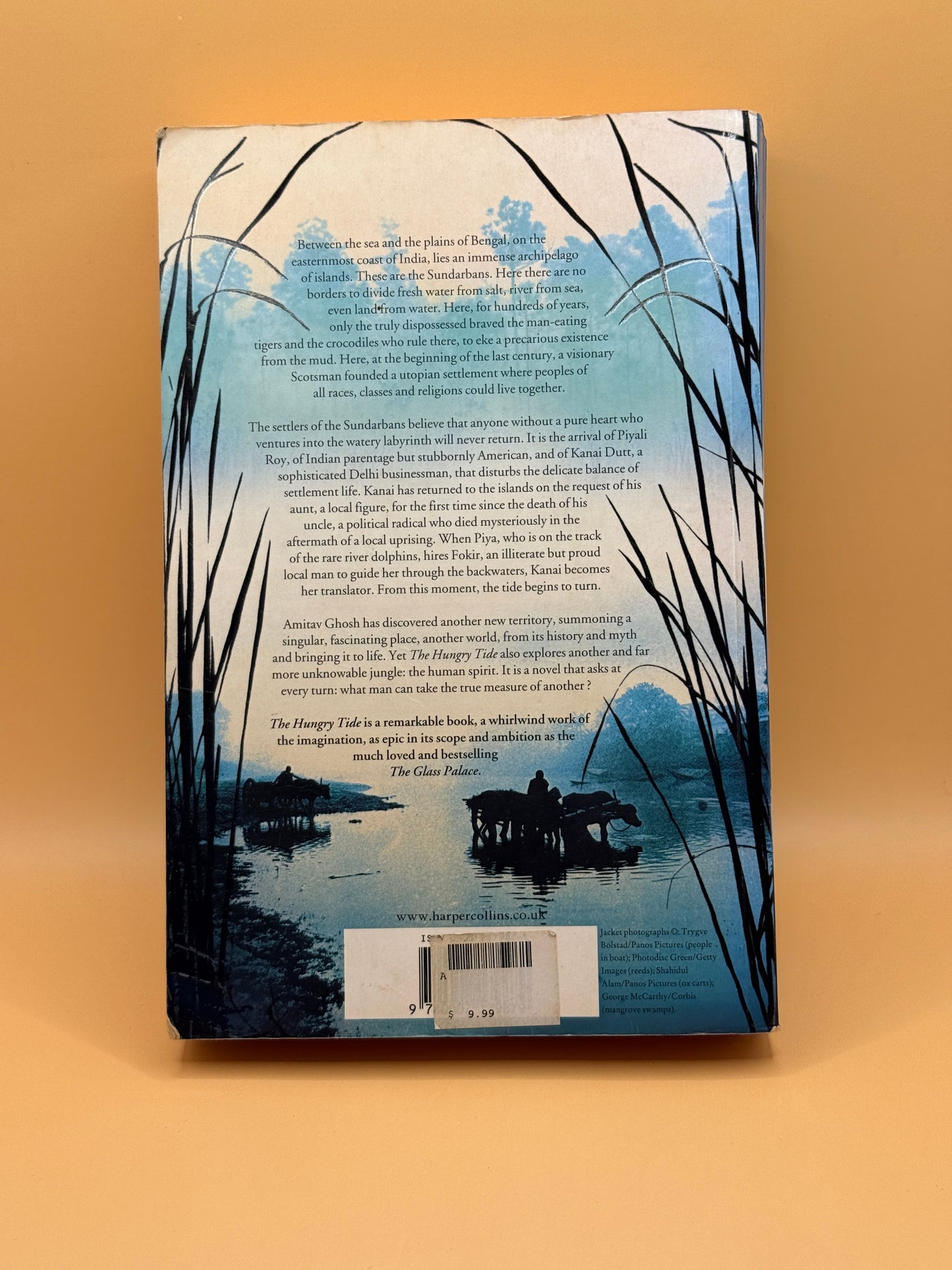 The Hungry Tide by Amitav Ghosh