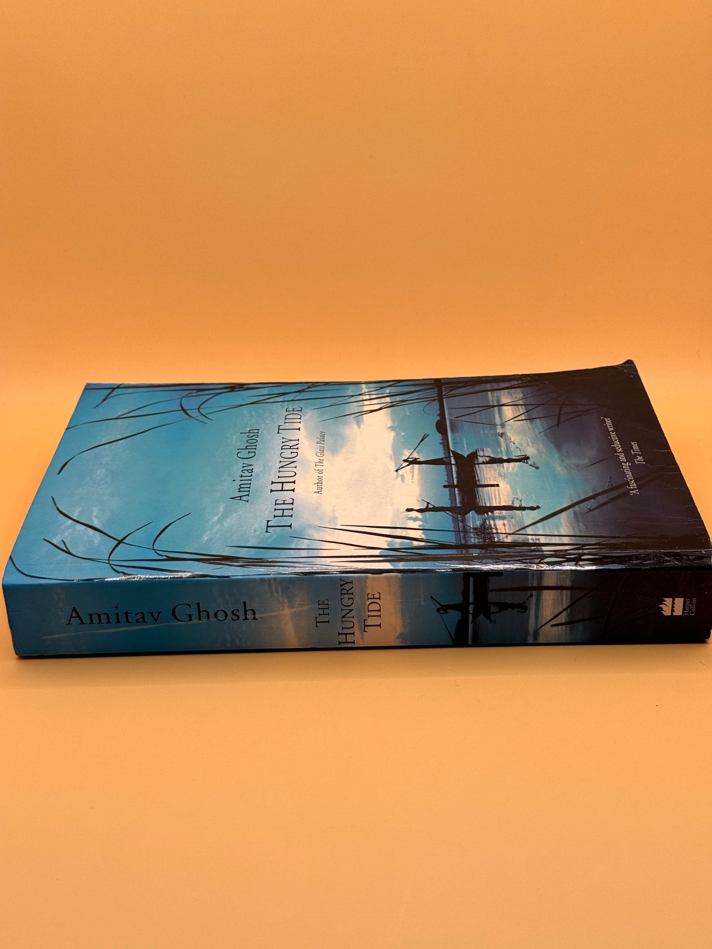 The Hungry Tide by Amitav Ghosh