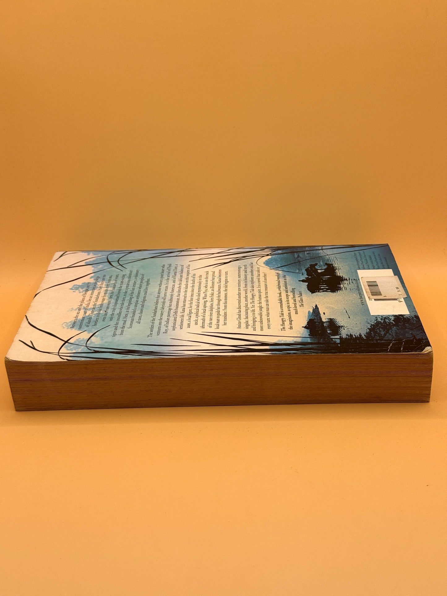 The Hungry Tide by Amitav Ghosh