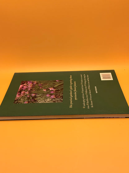 Irises: A New Zealand Gardener's Guide by Pamela McGeorge and Alison Nicoll