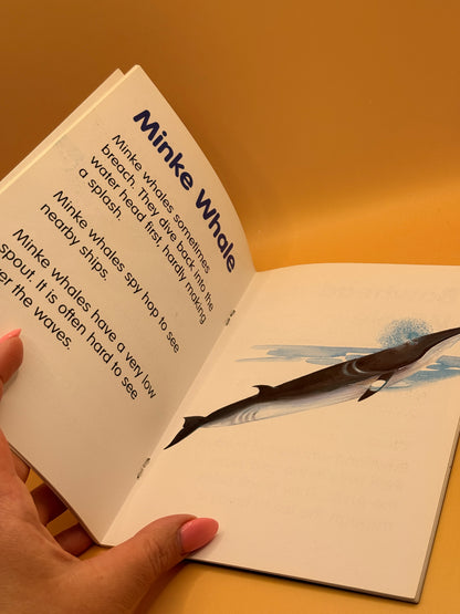 Flash Book WHALES by Reading Master