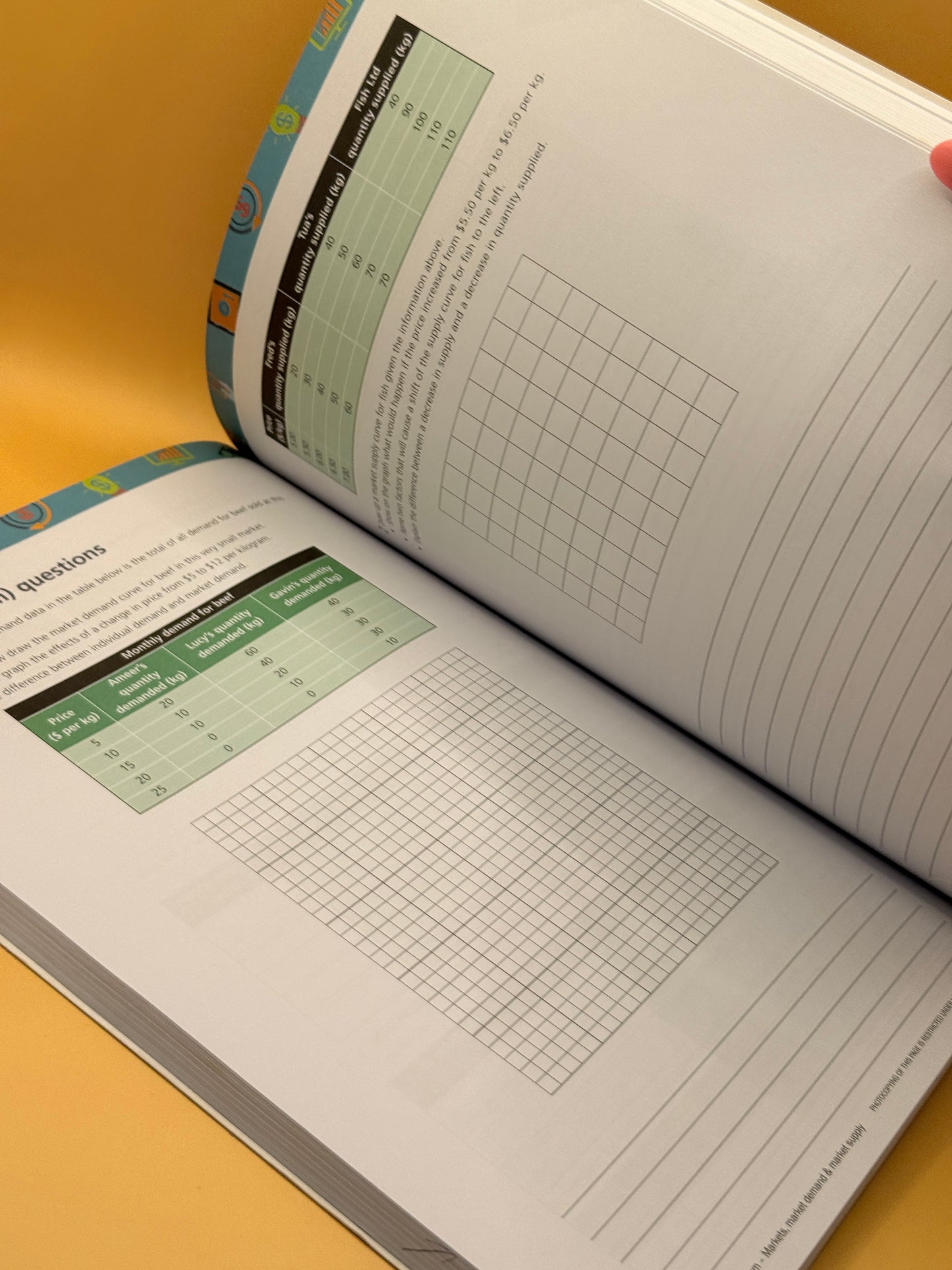 Understanding Economics NCEA Level 1, 5th Edition By: Dan Rennie