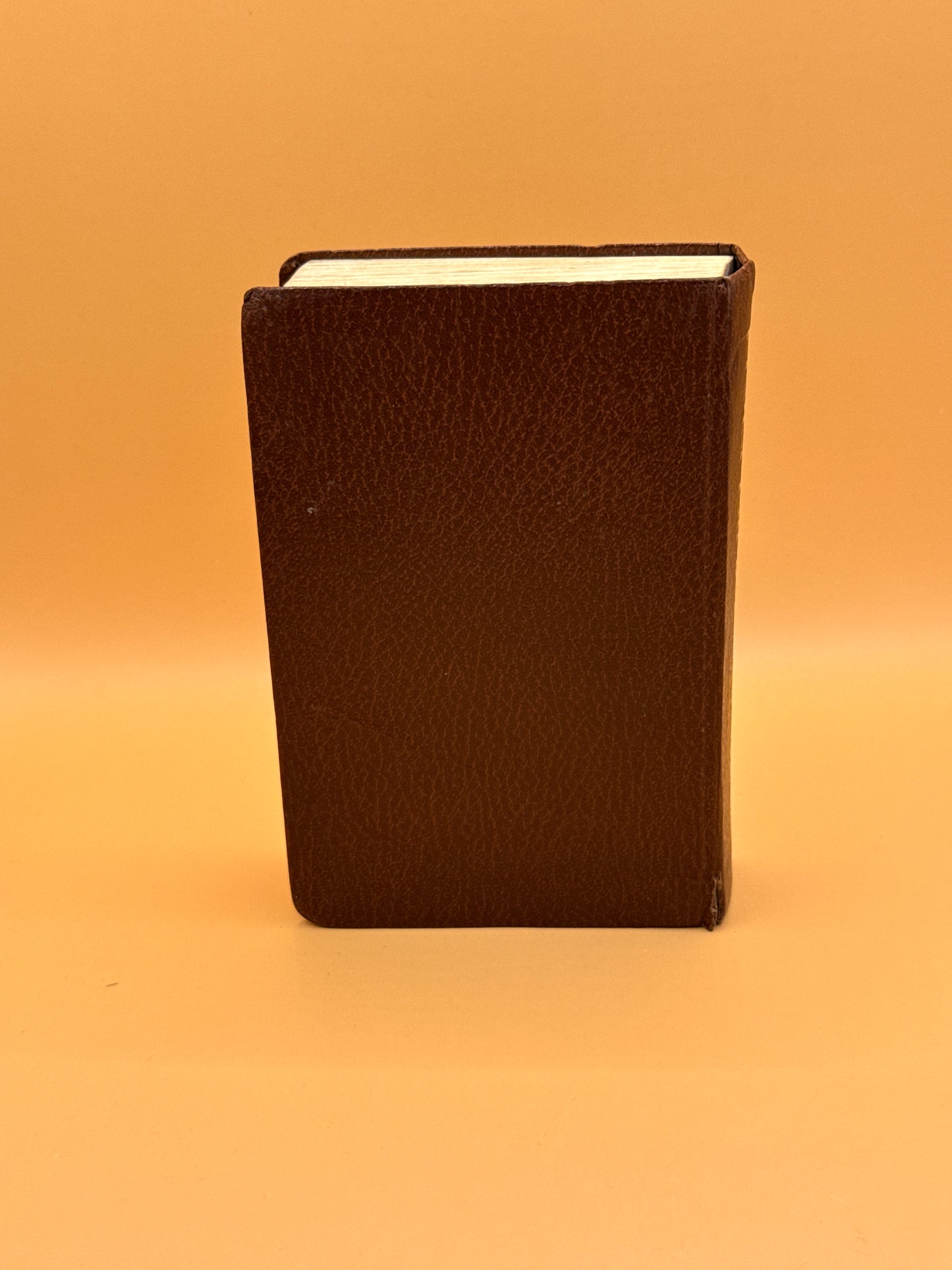 Holy Bible in the New International Version (NIV)