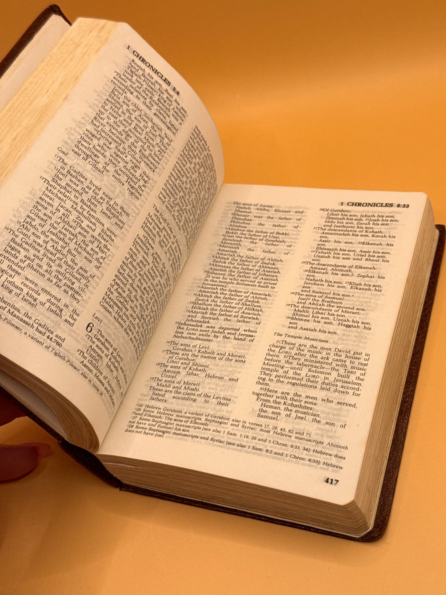 Holy Bible in the New International Version (NIV)