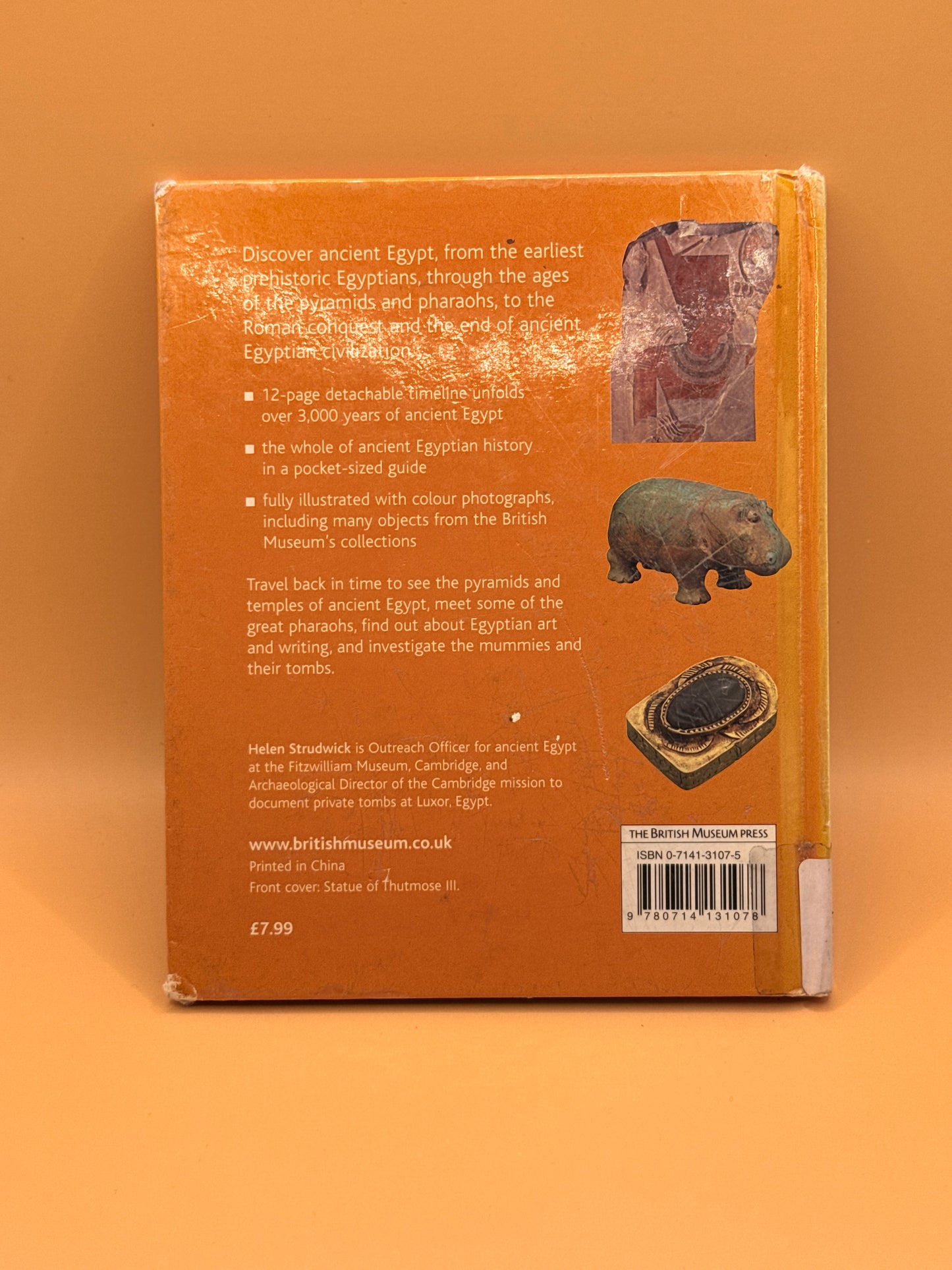 The British Museum Pocket Timeline of Ancient Egypt: Pocket Timeline Series by Helen Strudwick