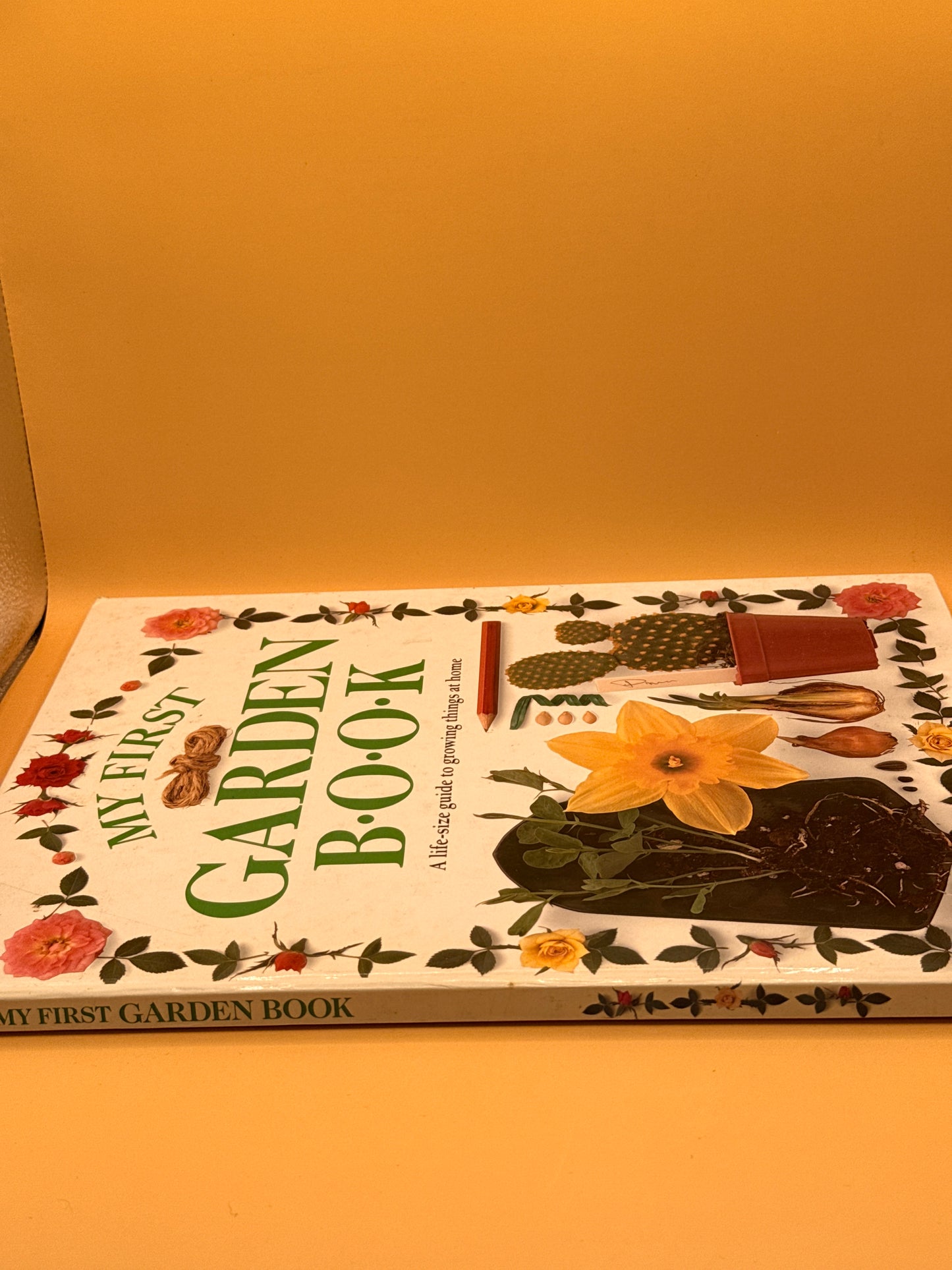 My First Garden Book by Angela Wilkes