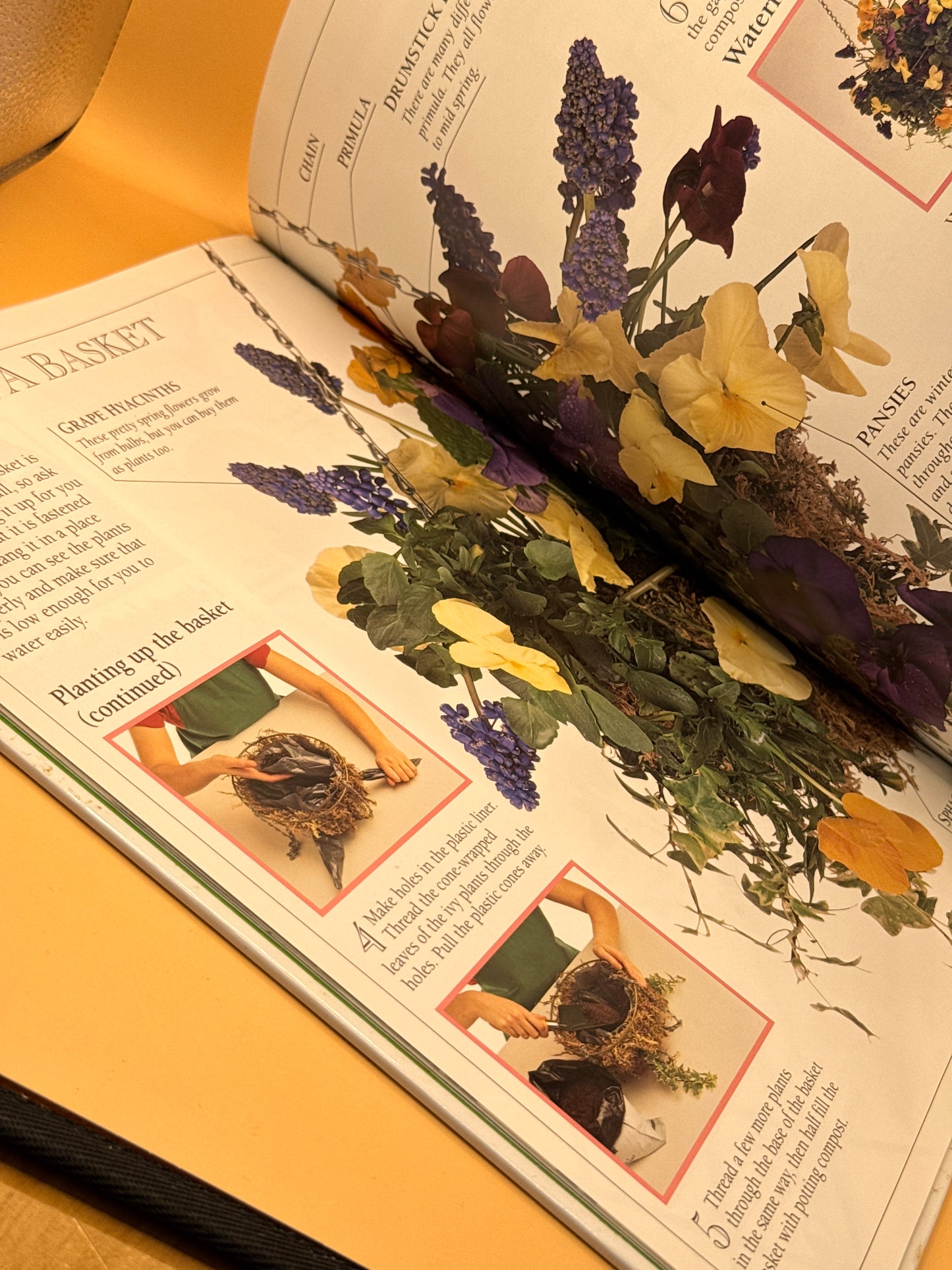 My First Garden Book by Angela Wilkes