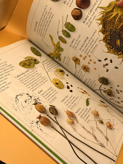 My First Garden Book by Angela Wilkes