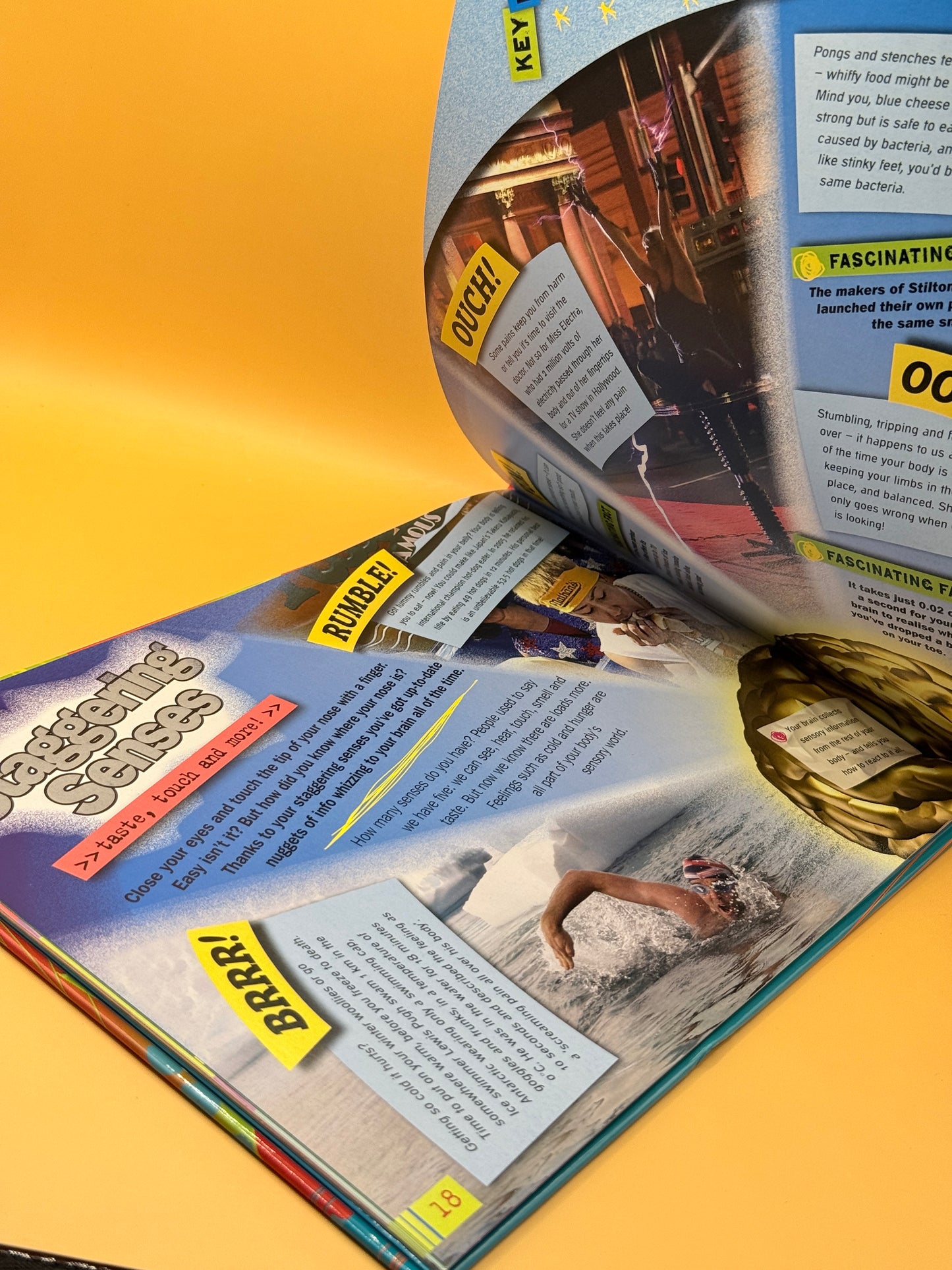 Ripley Twists: Human Body- Fun, Facts, and Goo by Ripley's Believe It Or Not!