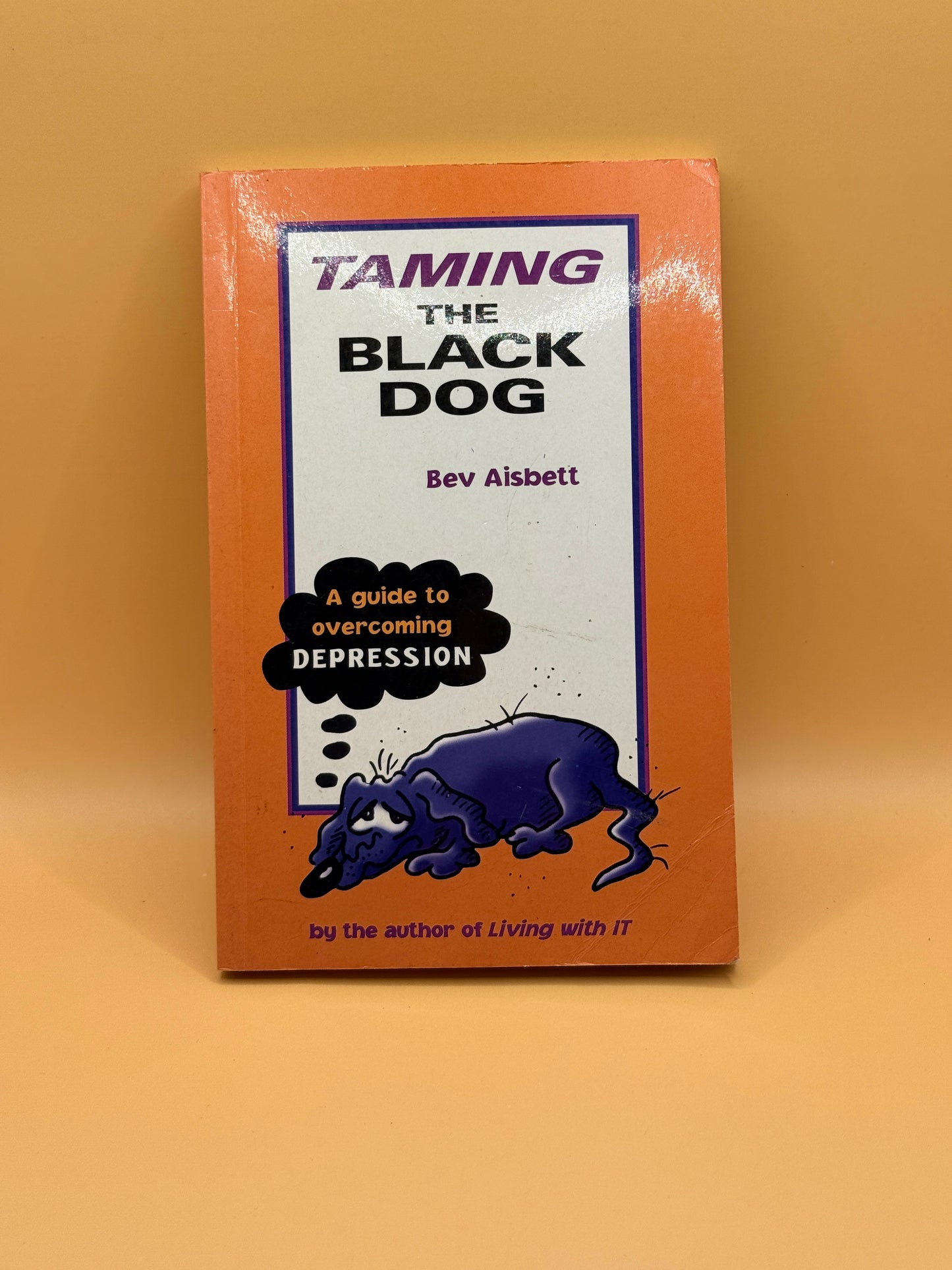 Taming the Black Dog: A Guide to Overcoming Depression by Bev Aisbett