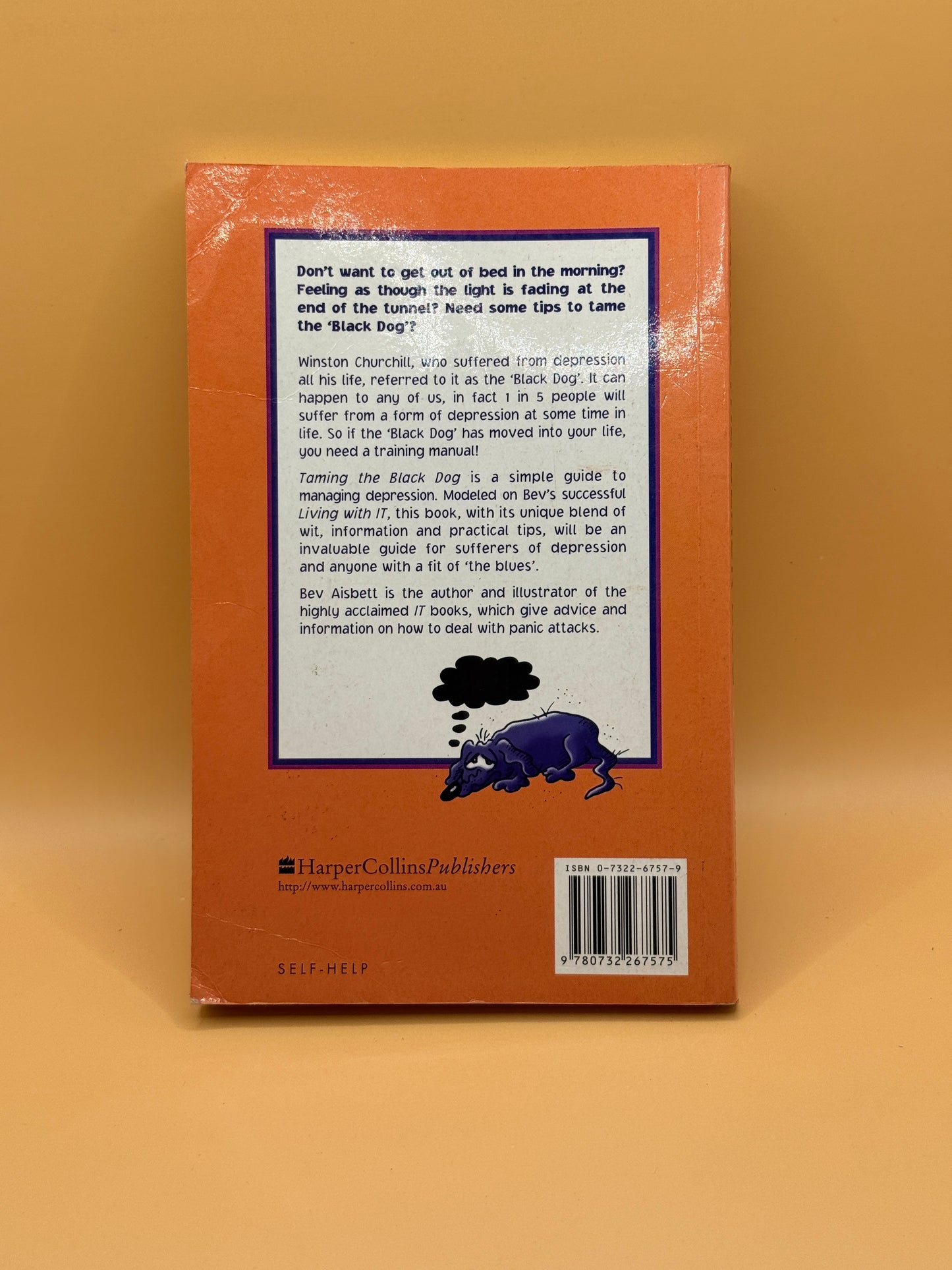 Taming the Black Dog: A Guide to Overcoming Depression by Bev Aisbett