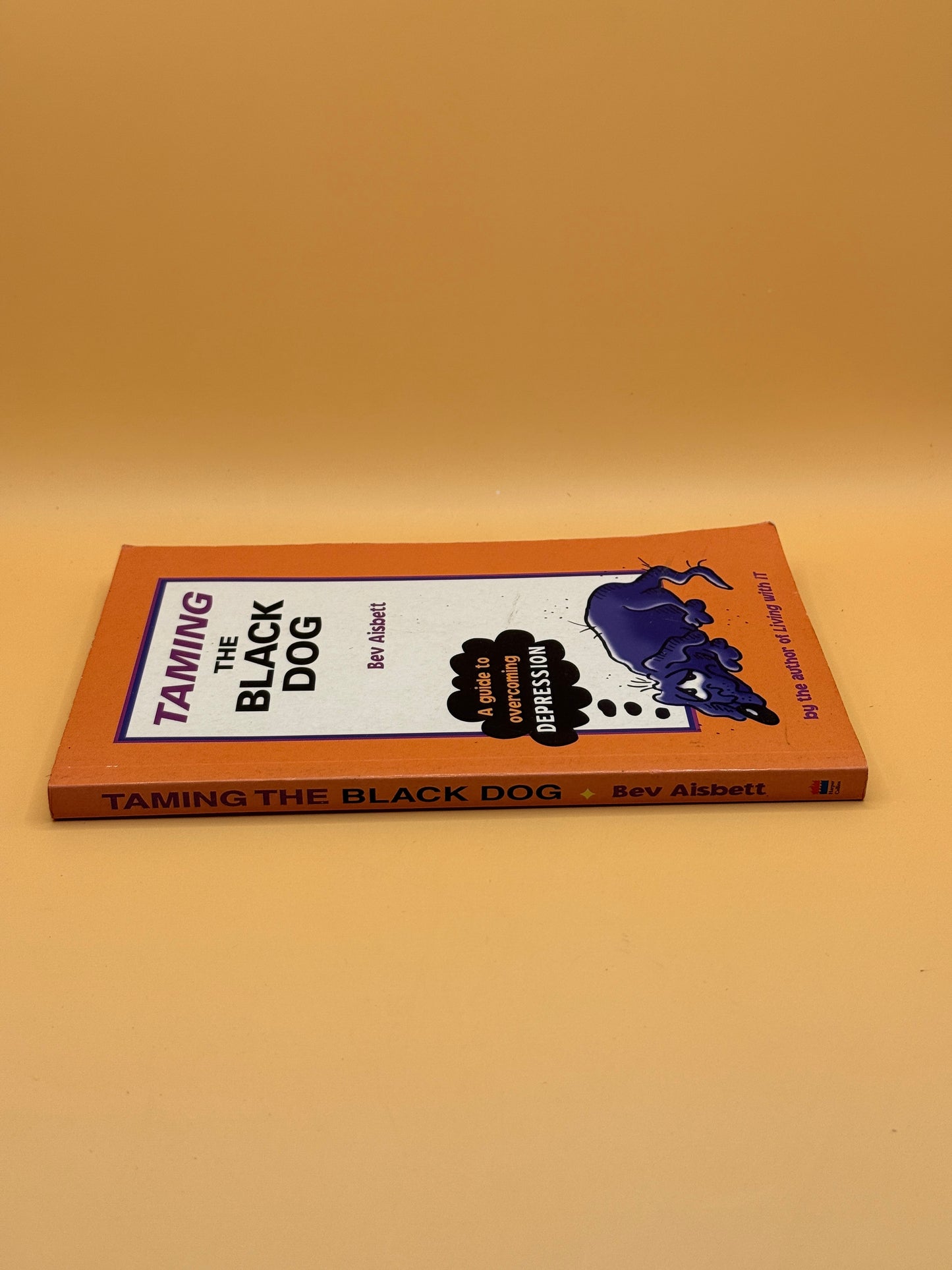 Taming the Black Dog: A Guide to Overcoming Depression by Bev Aisbett