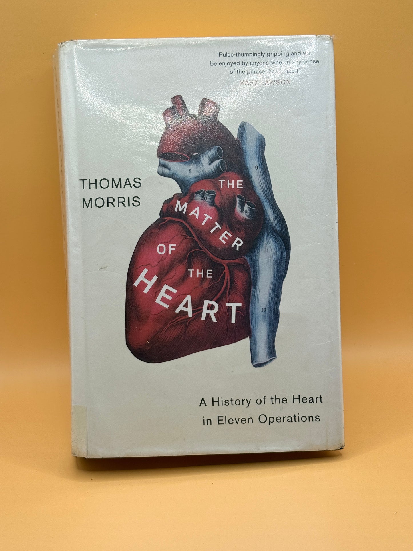 The Matter of the Heart by Thomas Morris