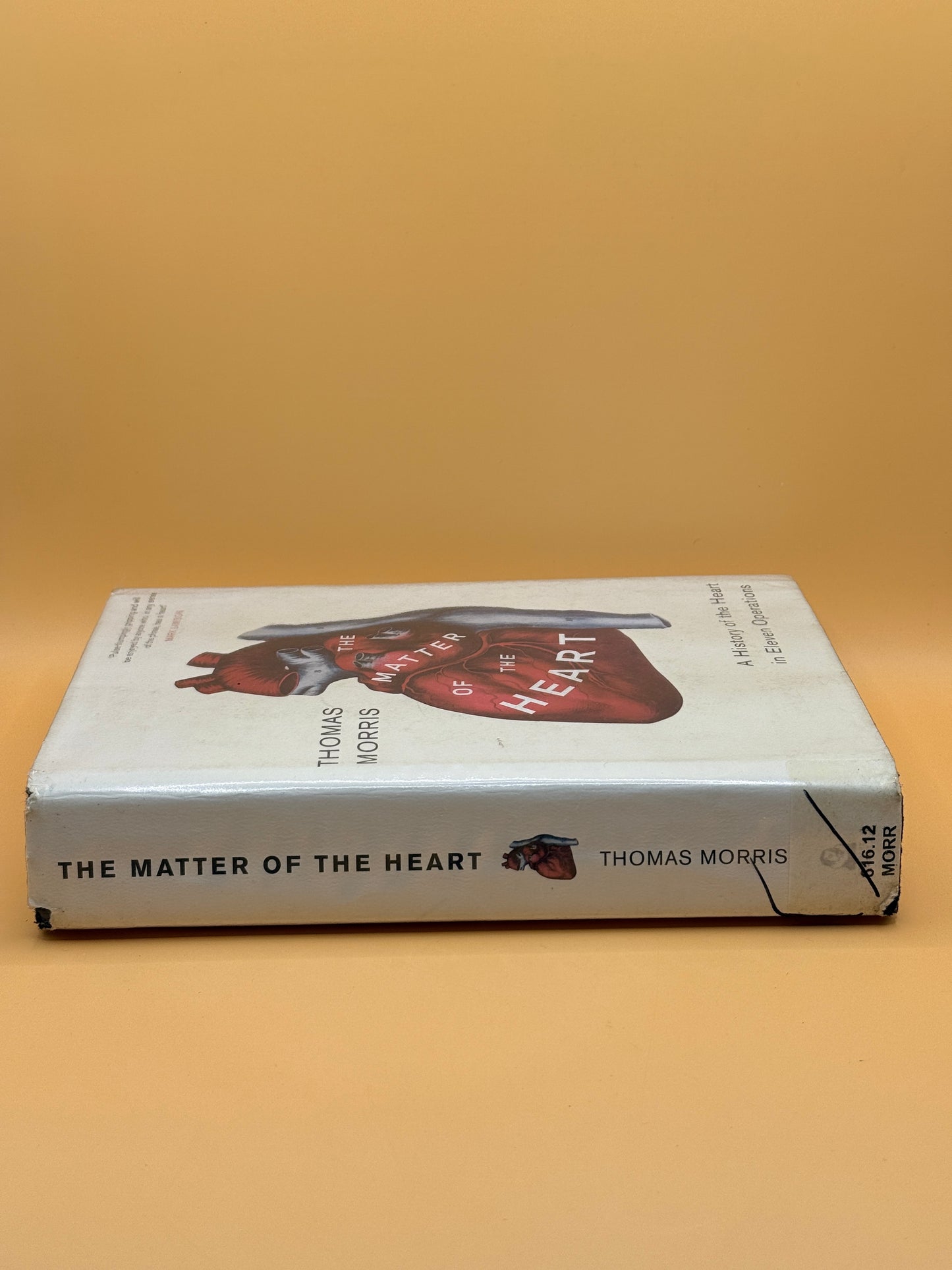 The Matter of the Heart by Thomas Morris