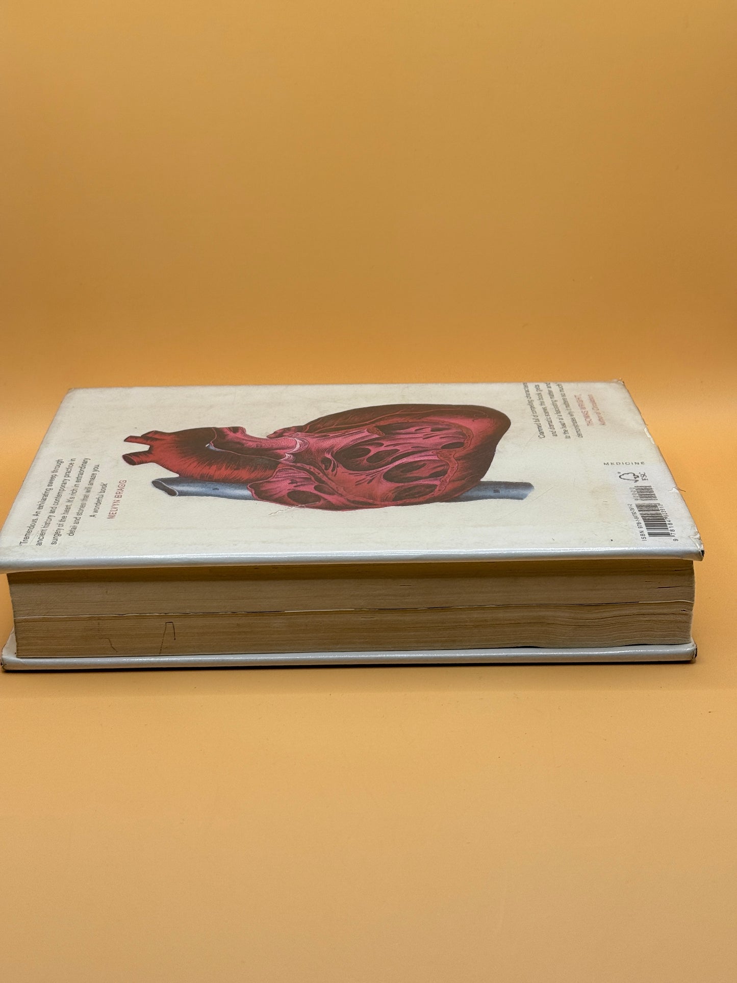 The Matter of the Heart by Thomas Morris