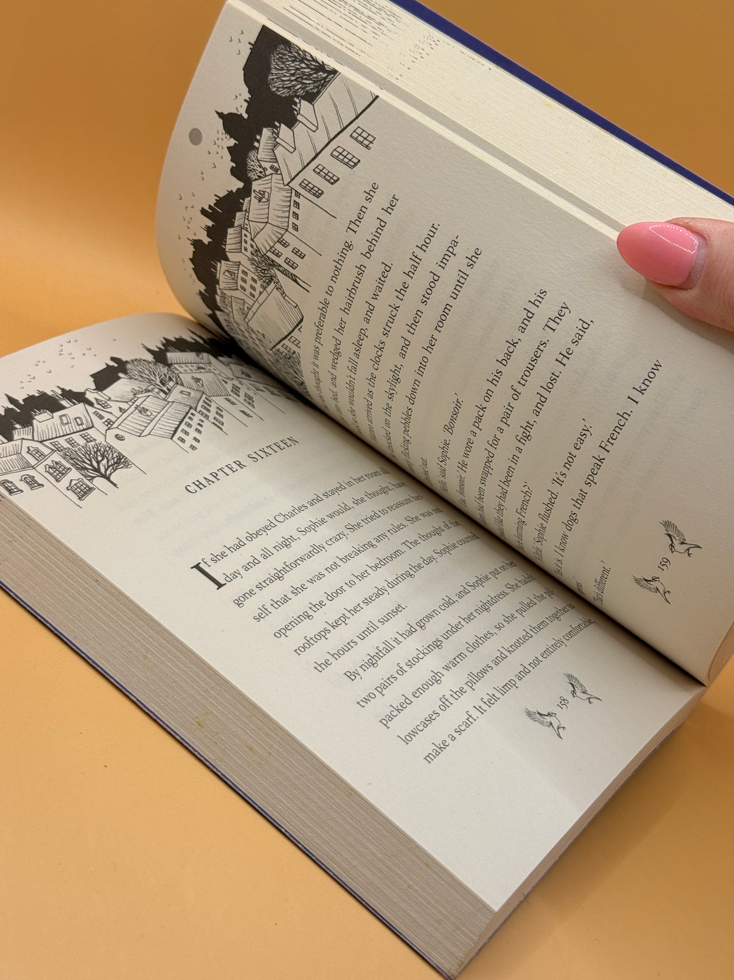 Rooftoppers by Katherine Rundell