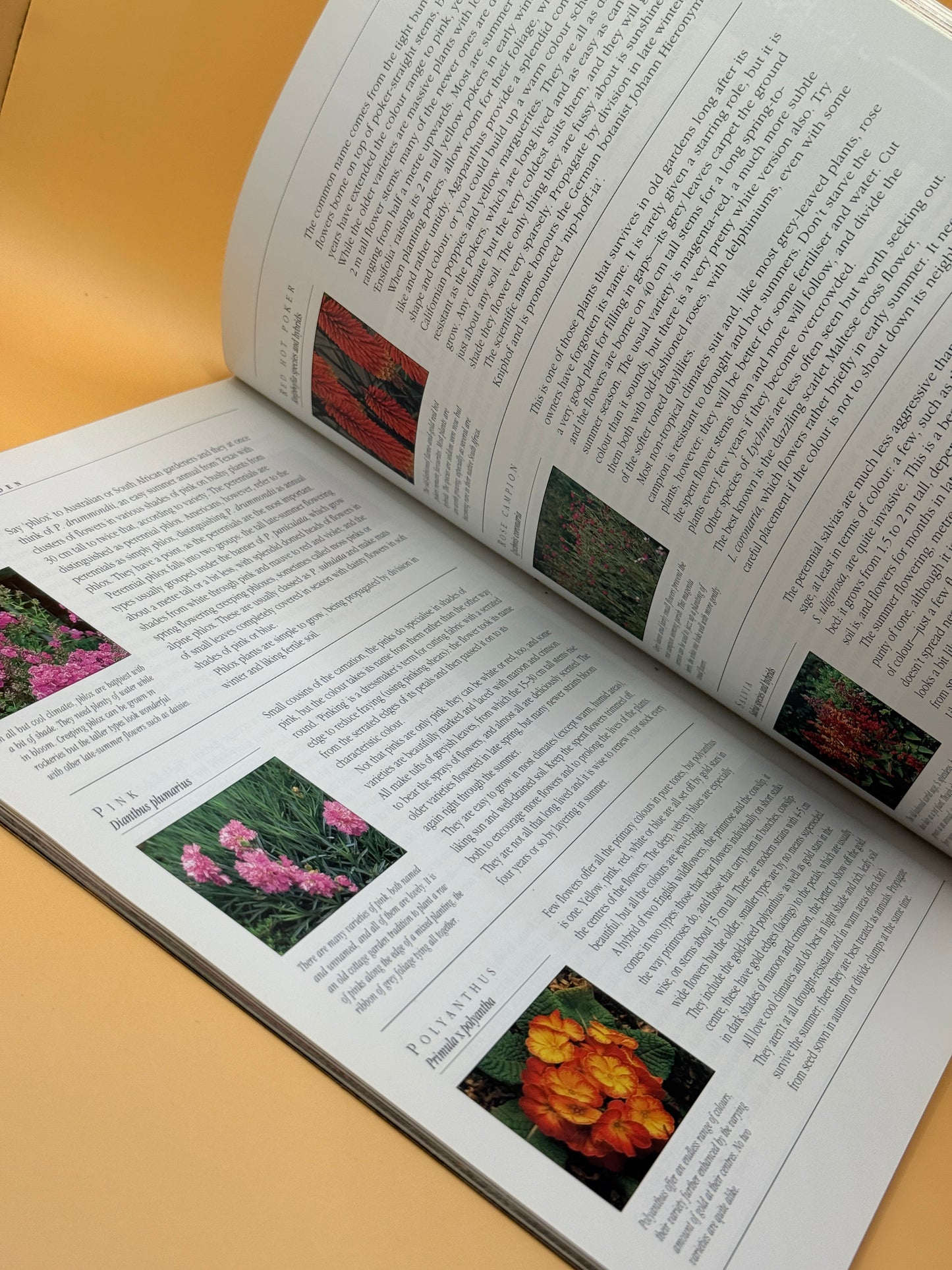 Better Homes and Gardens Cottage Gardening