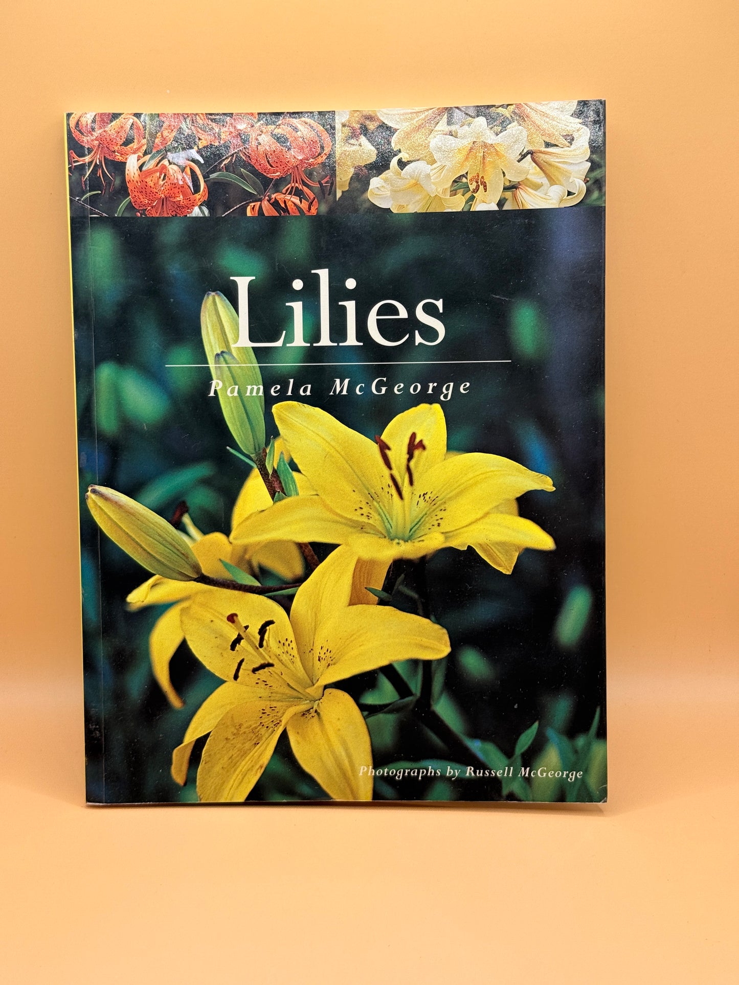 Lilies by Pamela McGeorge