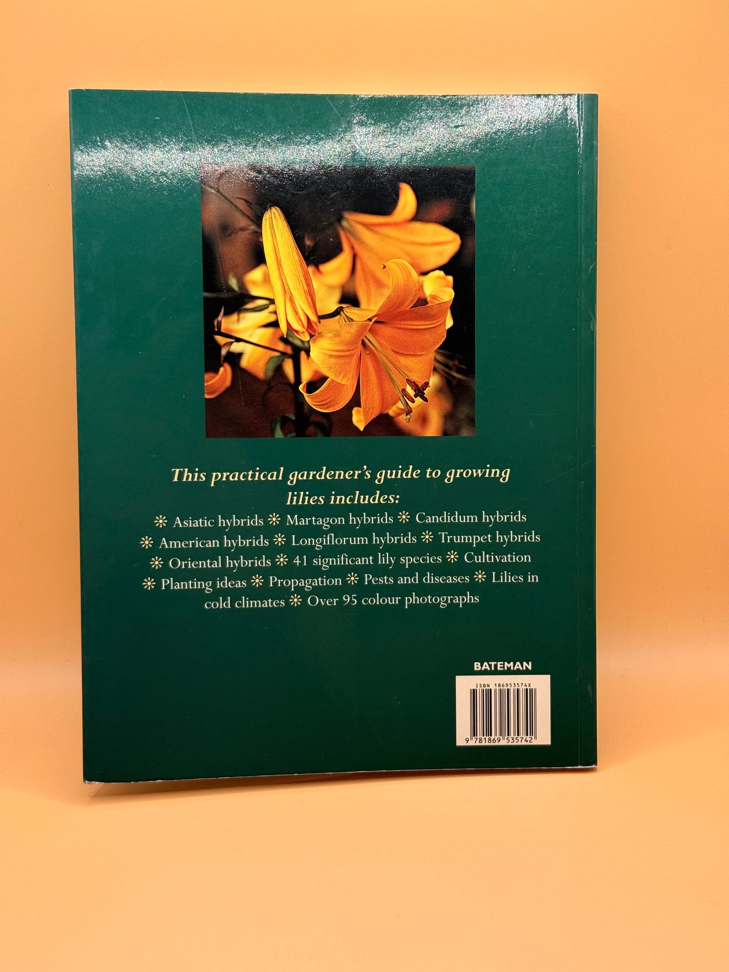 Lilies by Pamela McGeorge