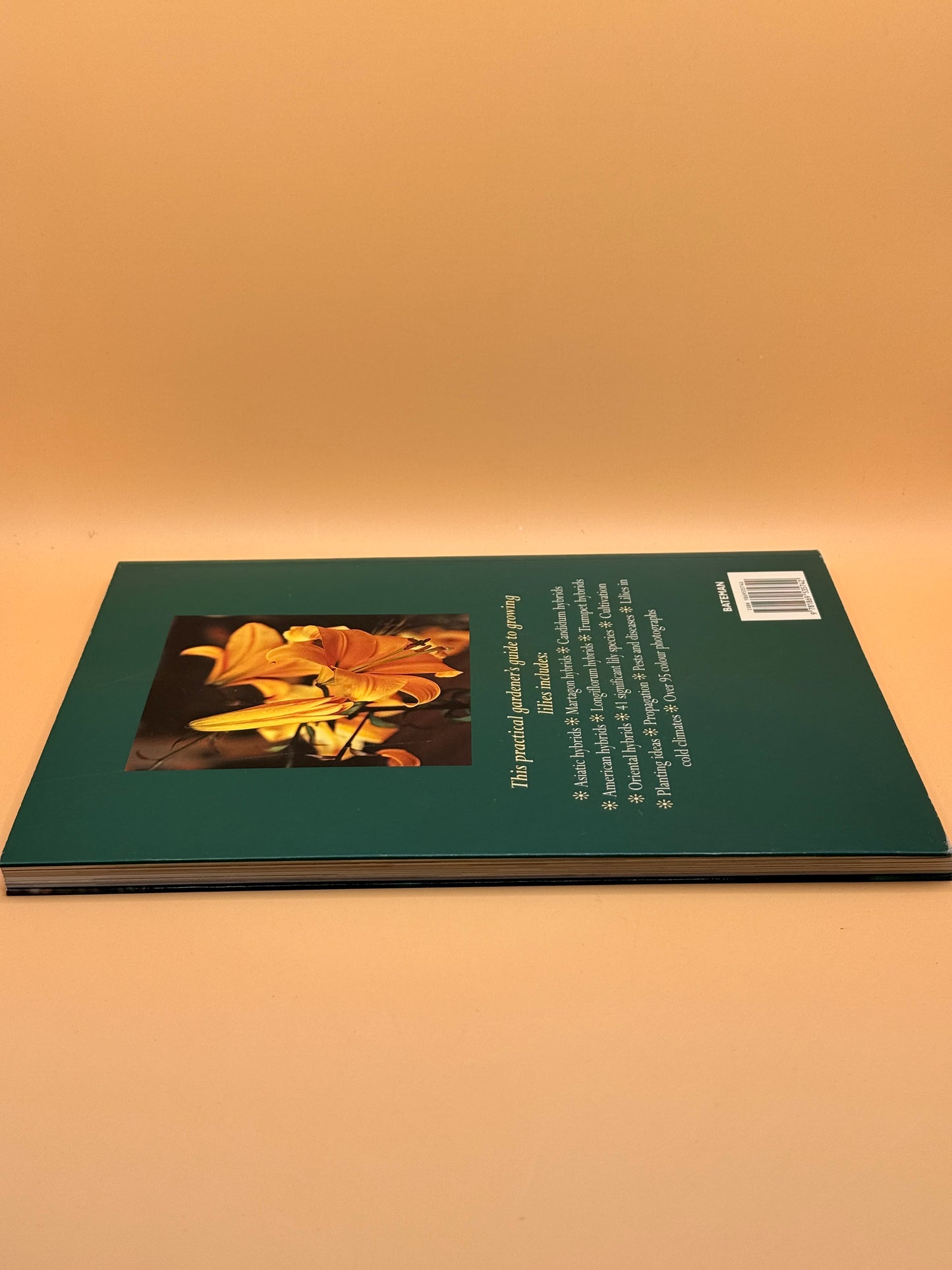 Lilies by Pamela McGeorge