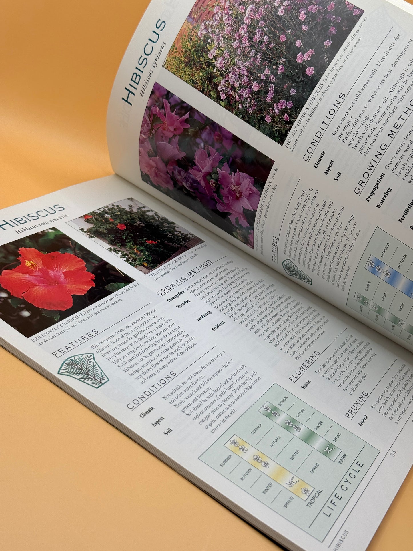 Better Homes and Gardens: A Grower's Guide to Flowering Shrubs