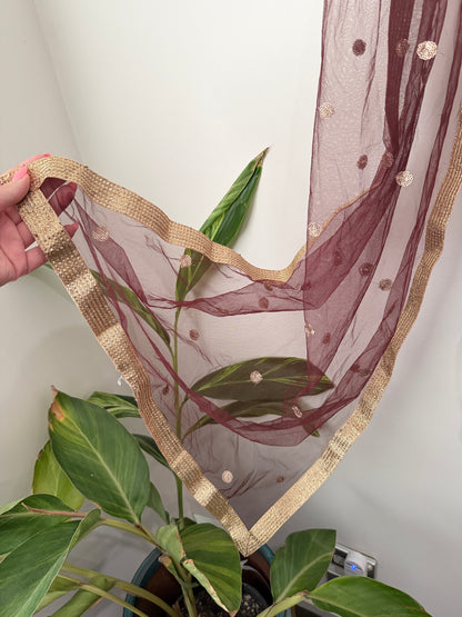 Embellished Net Dupatta
