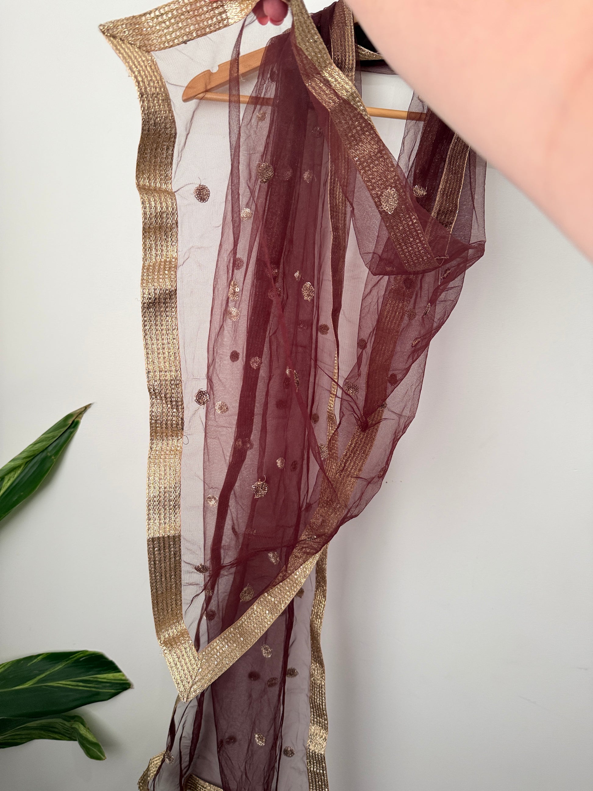 Embellished Net Dupatta