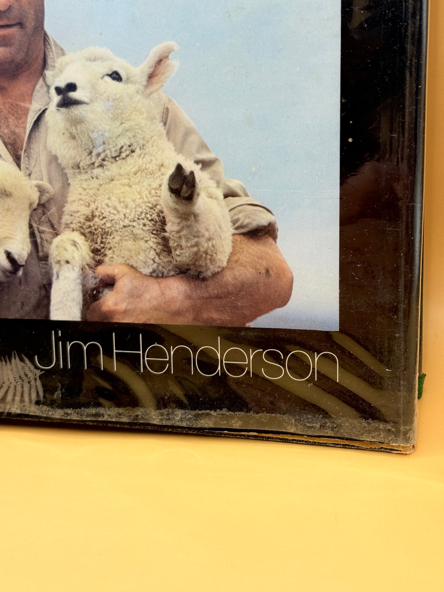 The New Zealanders by James Siers and Jim Henderson