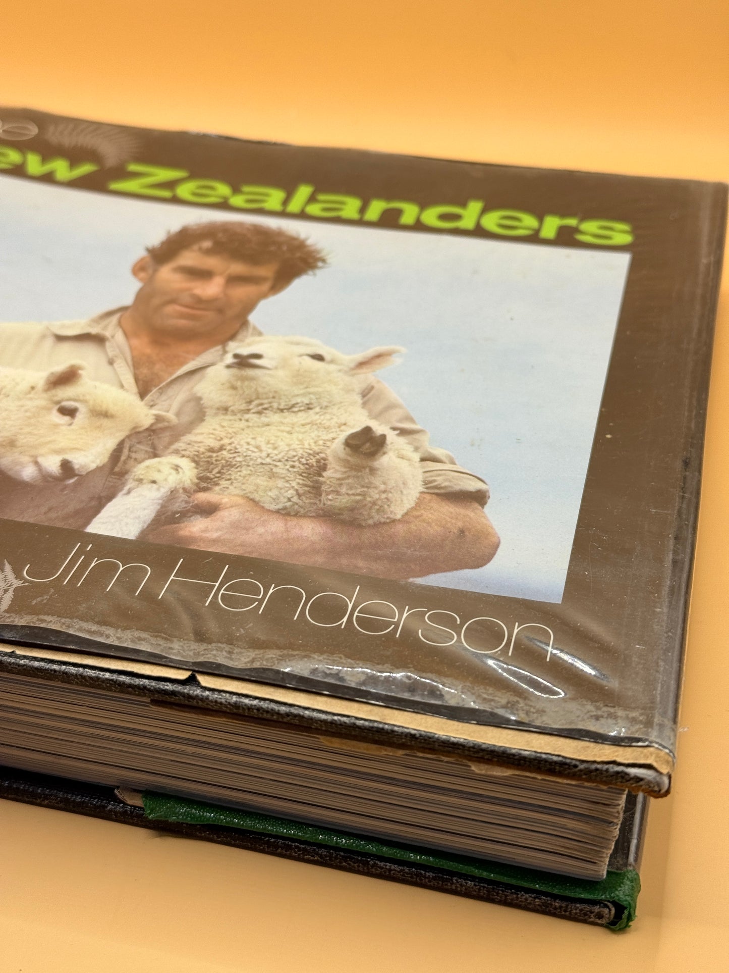 The New Zealanders by James Siers and Jim Henderson
