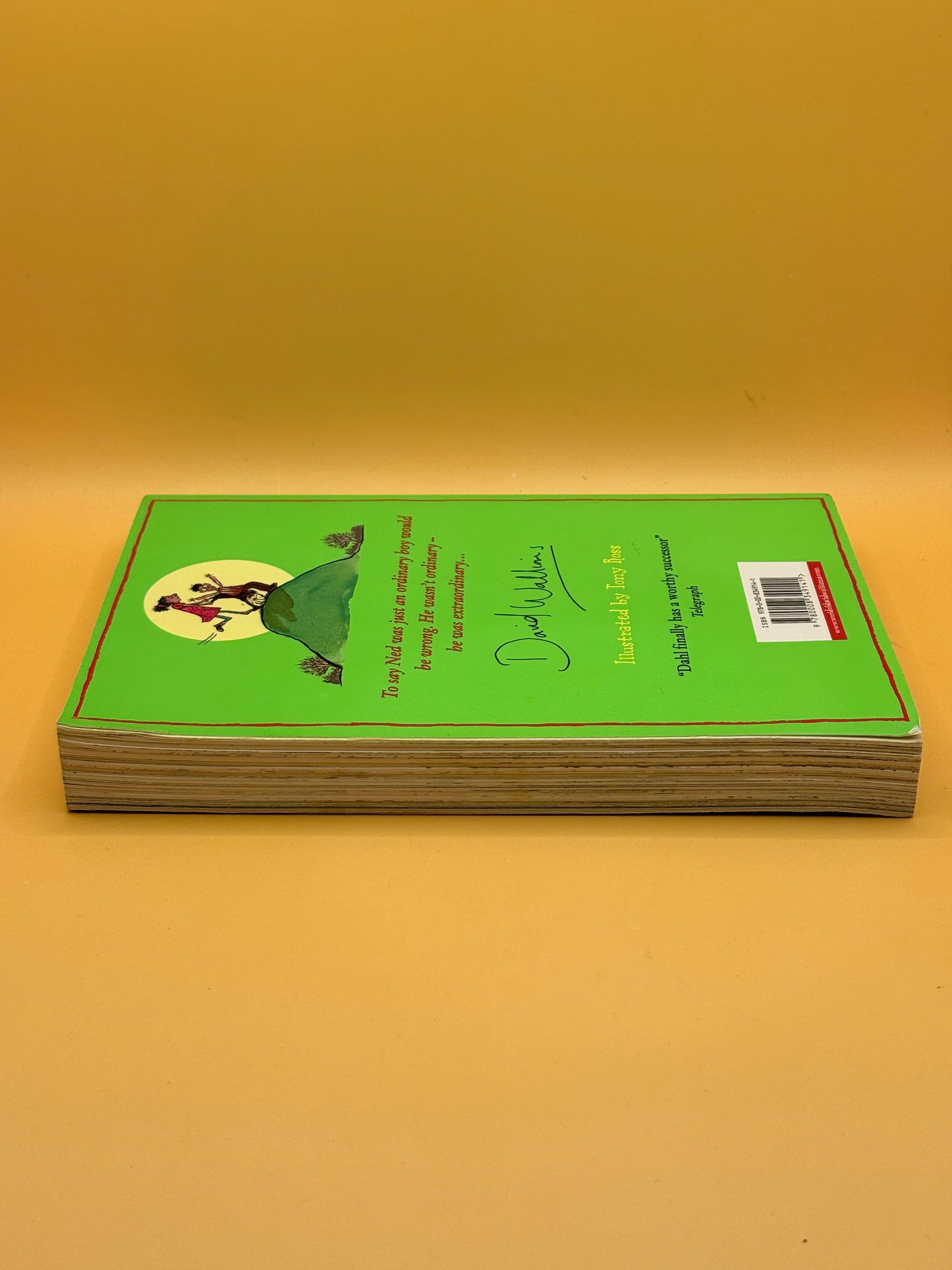 Slime by David Walliams