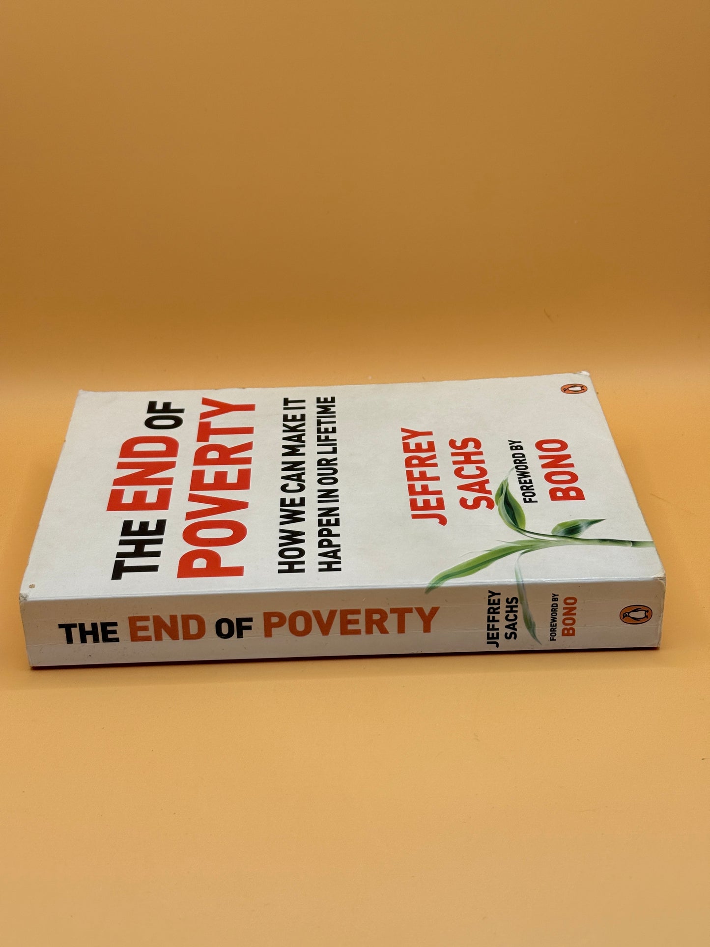 The End of Poverty: How We Can Make It Happen in Our Lifetime by Jeffrey Sachs