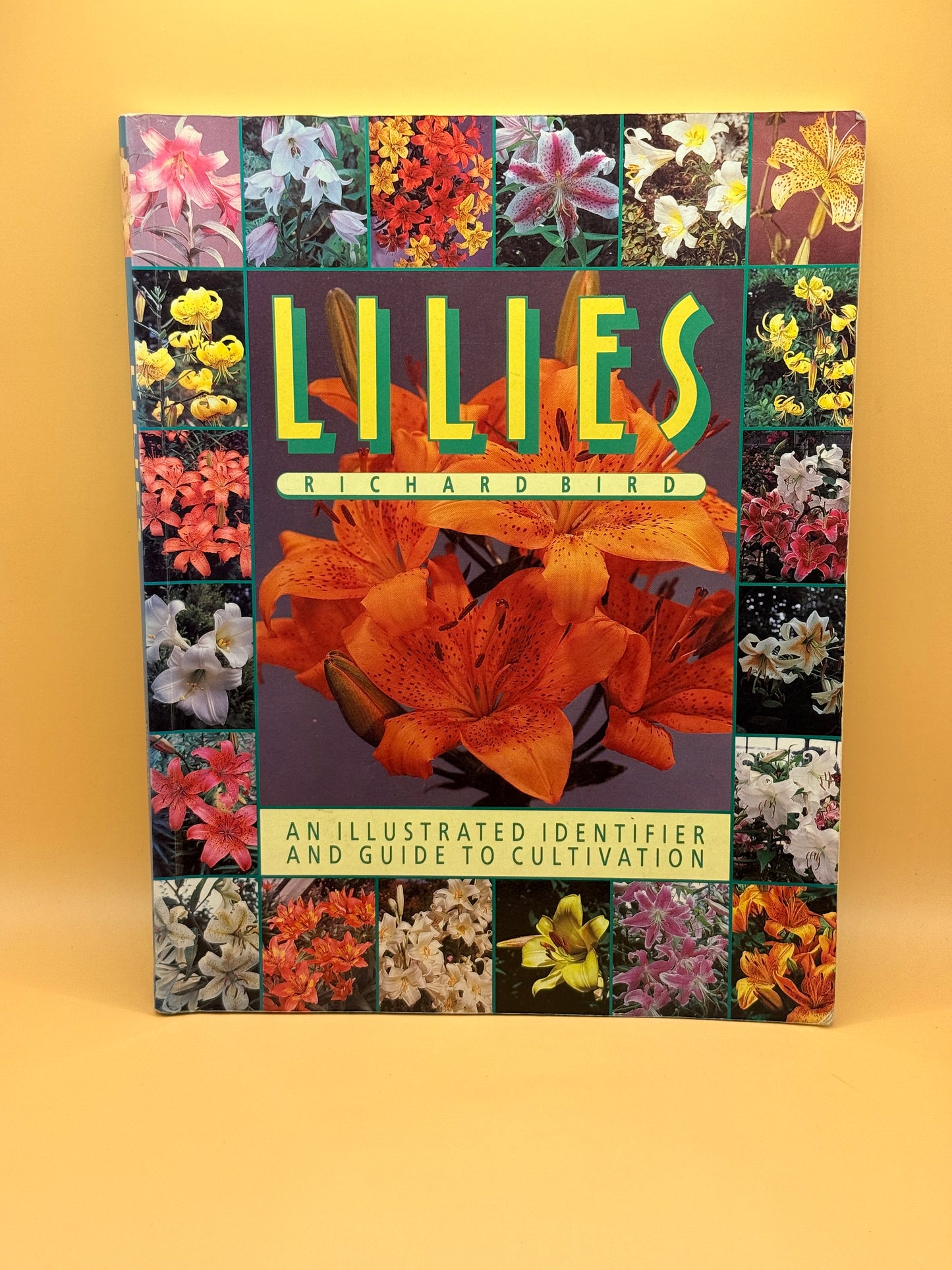 Lilies: An Illustrated Identifier and Guide to Cultivation by Richard Bird