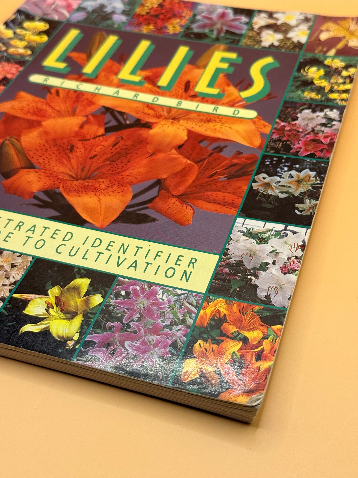 Lilies: An Illustrated Identifier and Guide to Cultivation by Richard Bird