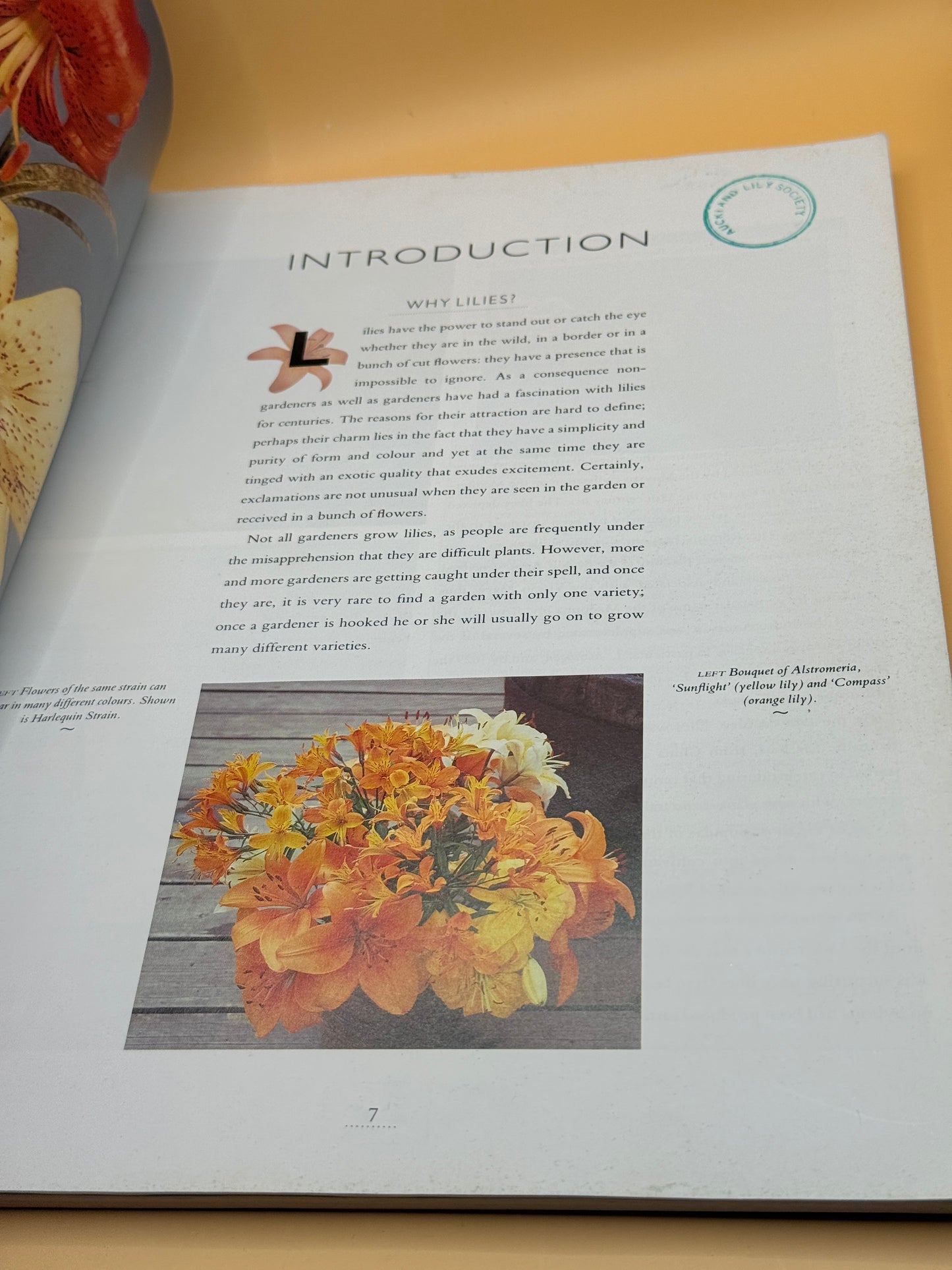 Lilies: An Illustrated Identifier and Guide to Cultivation by Richard Bird