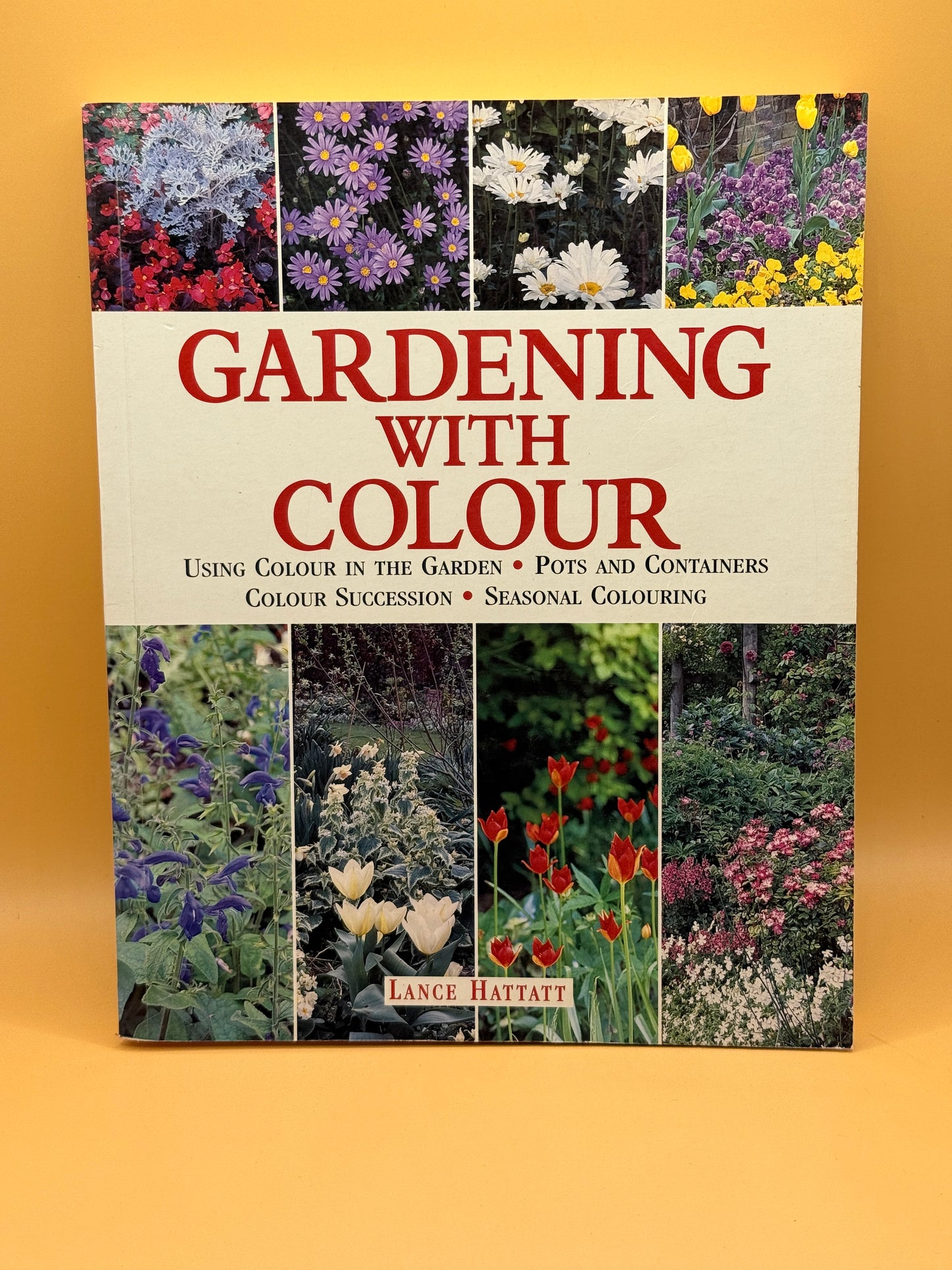 Gardening with Colour by Lance Hattatt
